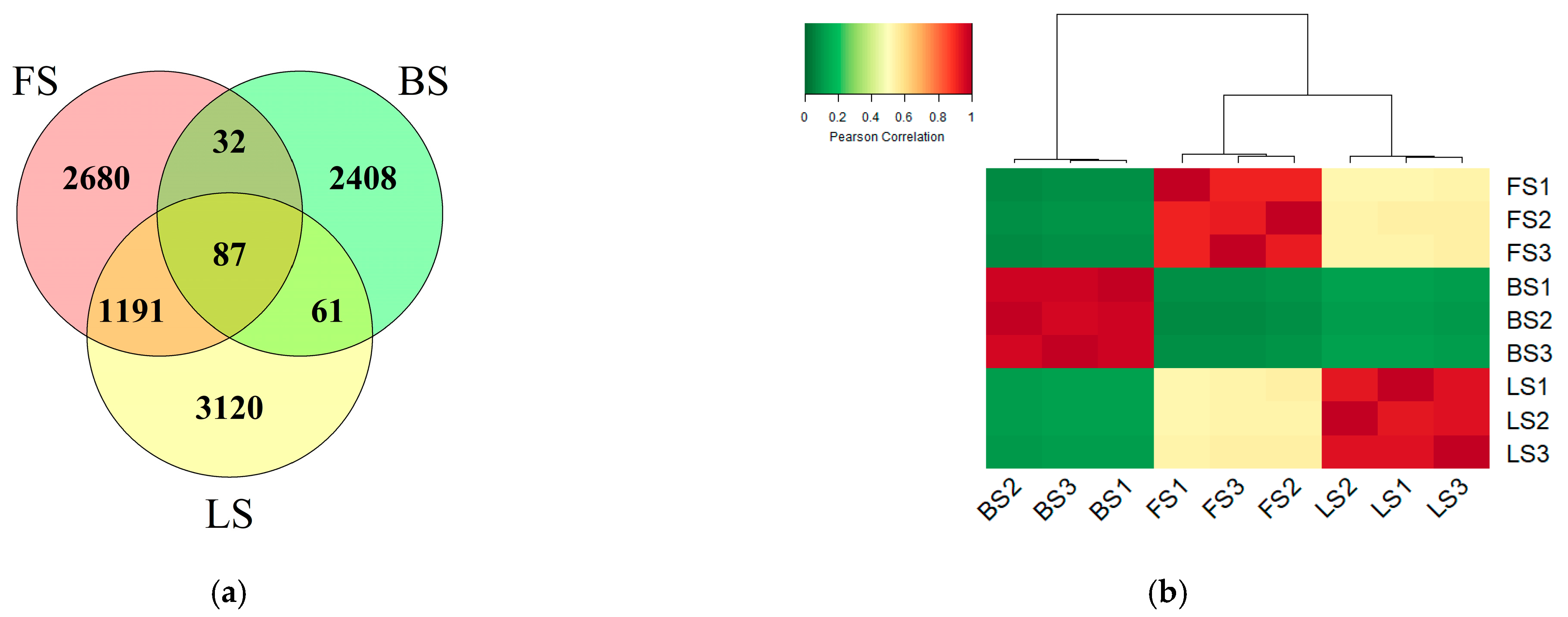Microorganisms 11 00593 g002