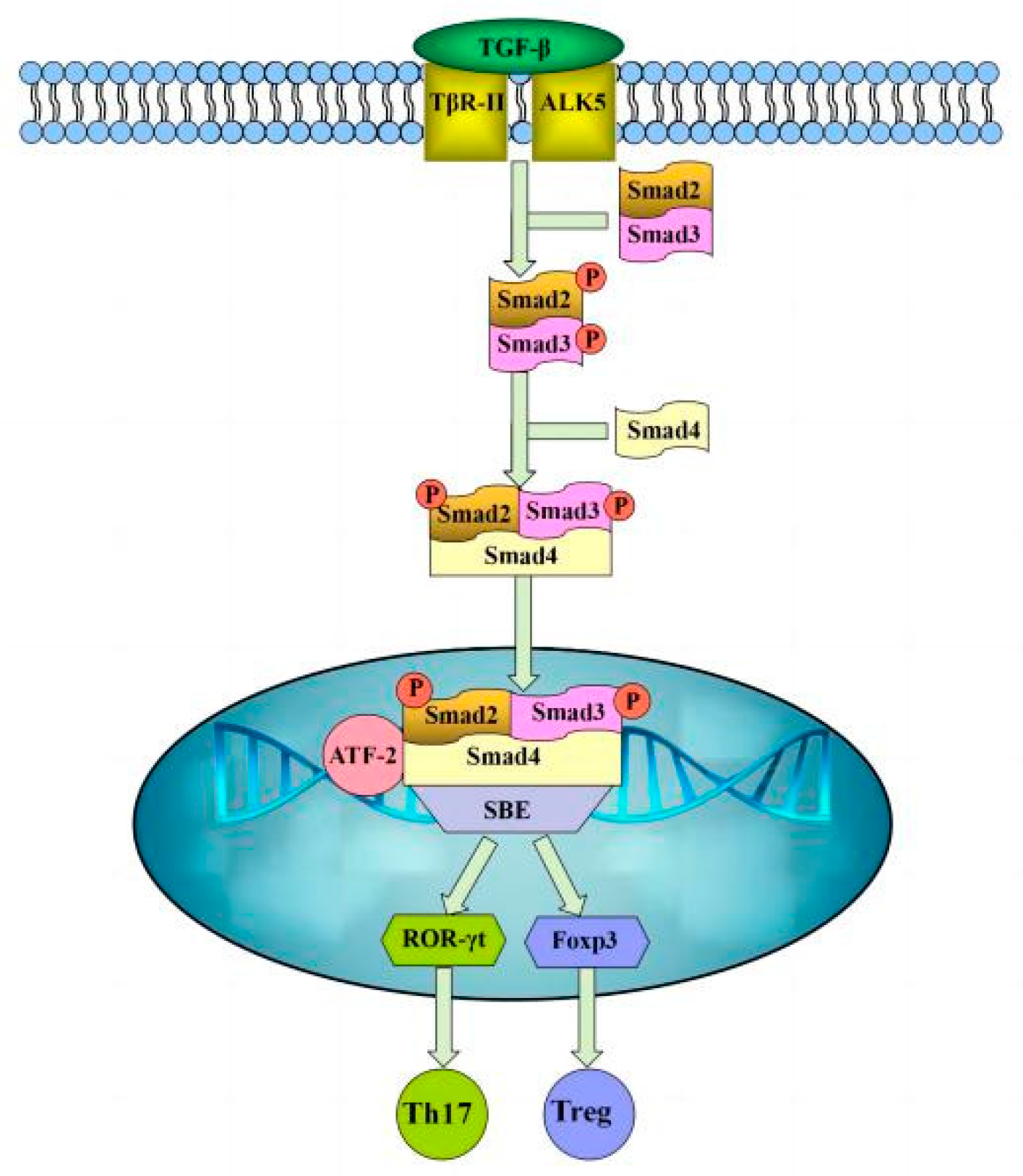 Microorganisms 11 00601 g001