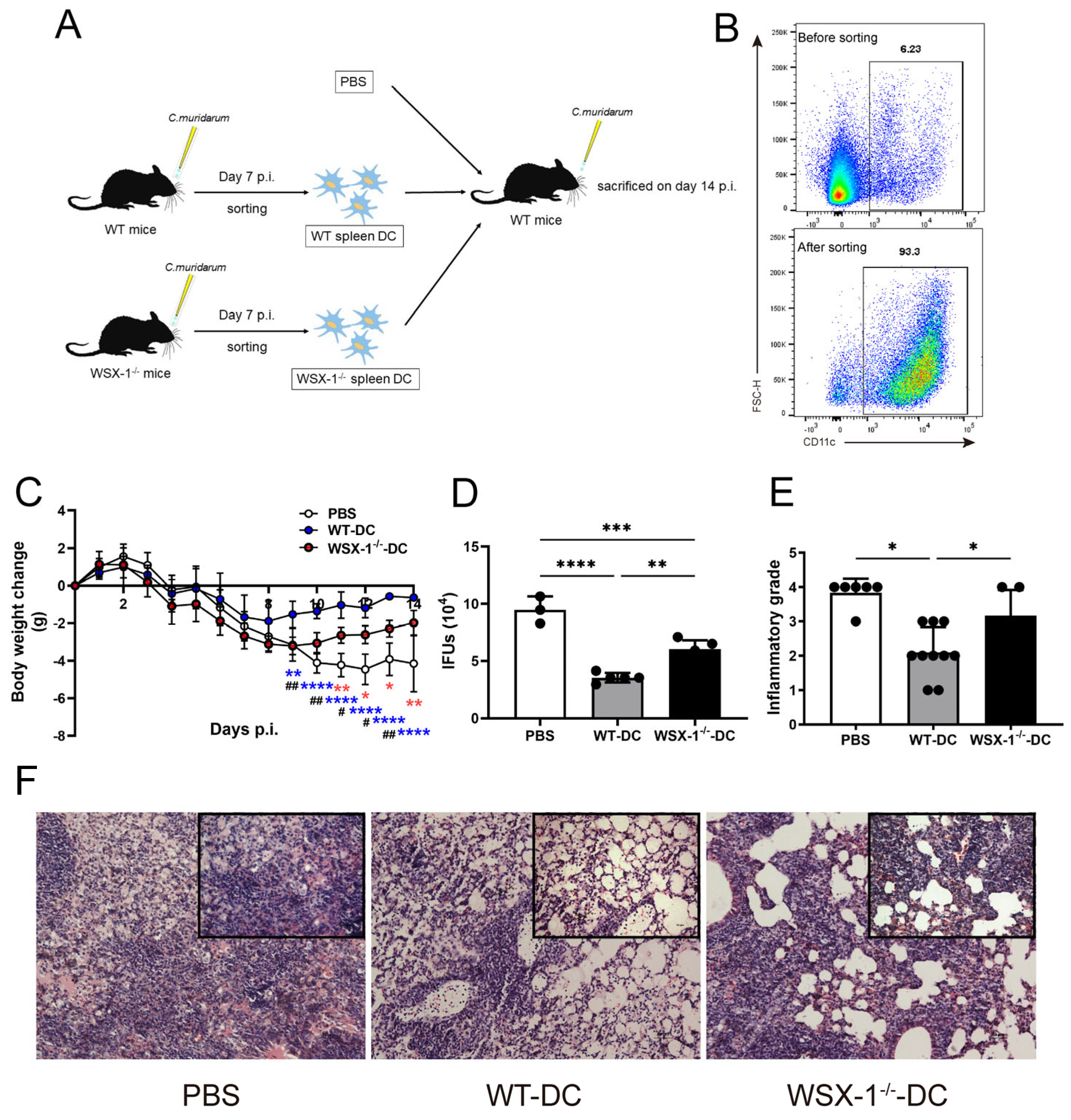 Microorganisms 11 00604 g002 Microorganisms 11 00604 g002
