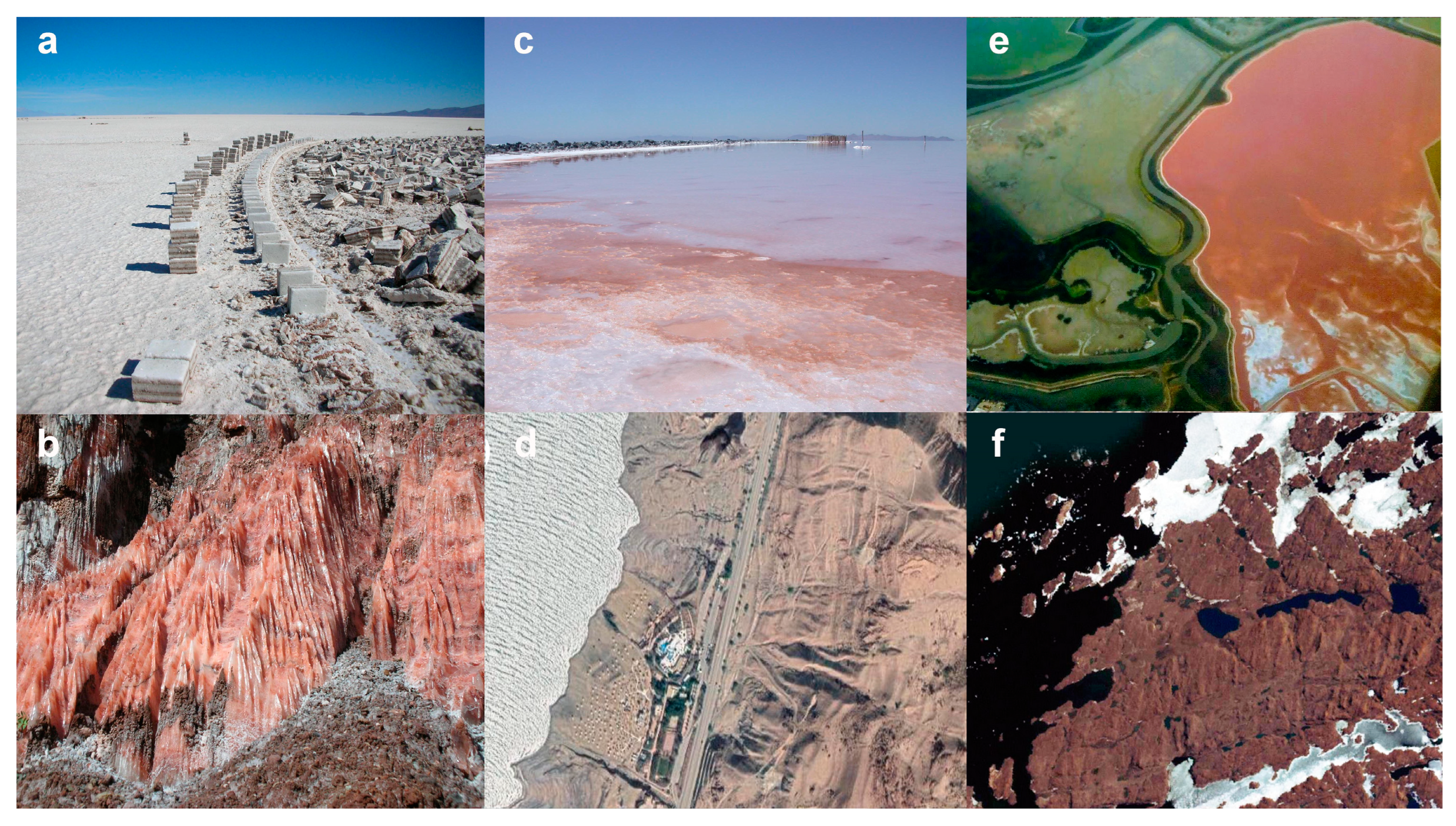 Microorganisms 11 00607 g001