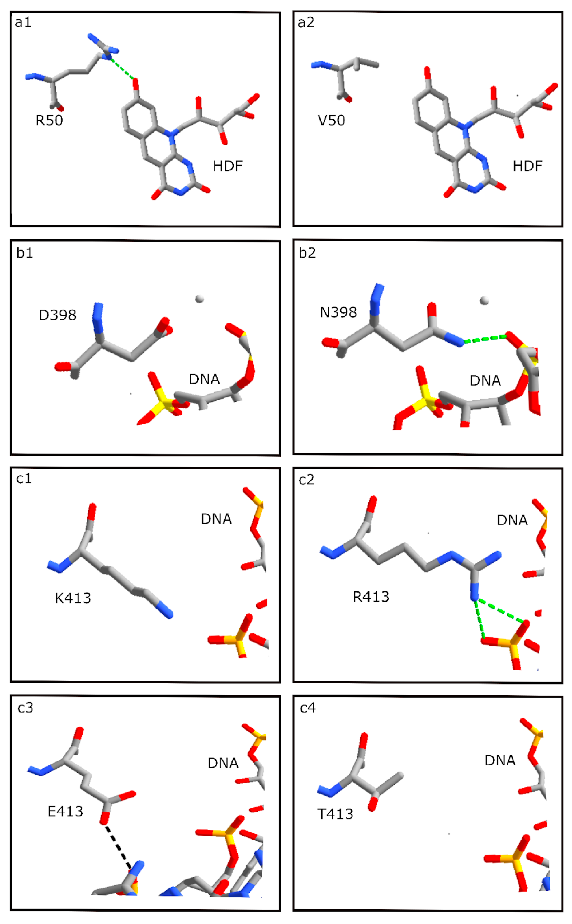 Microorganisms 11 00607 g006