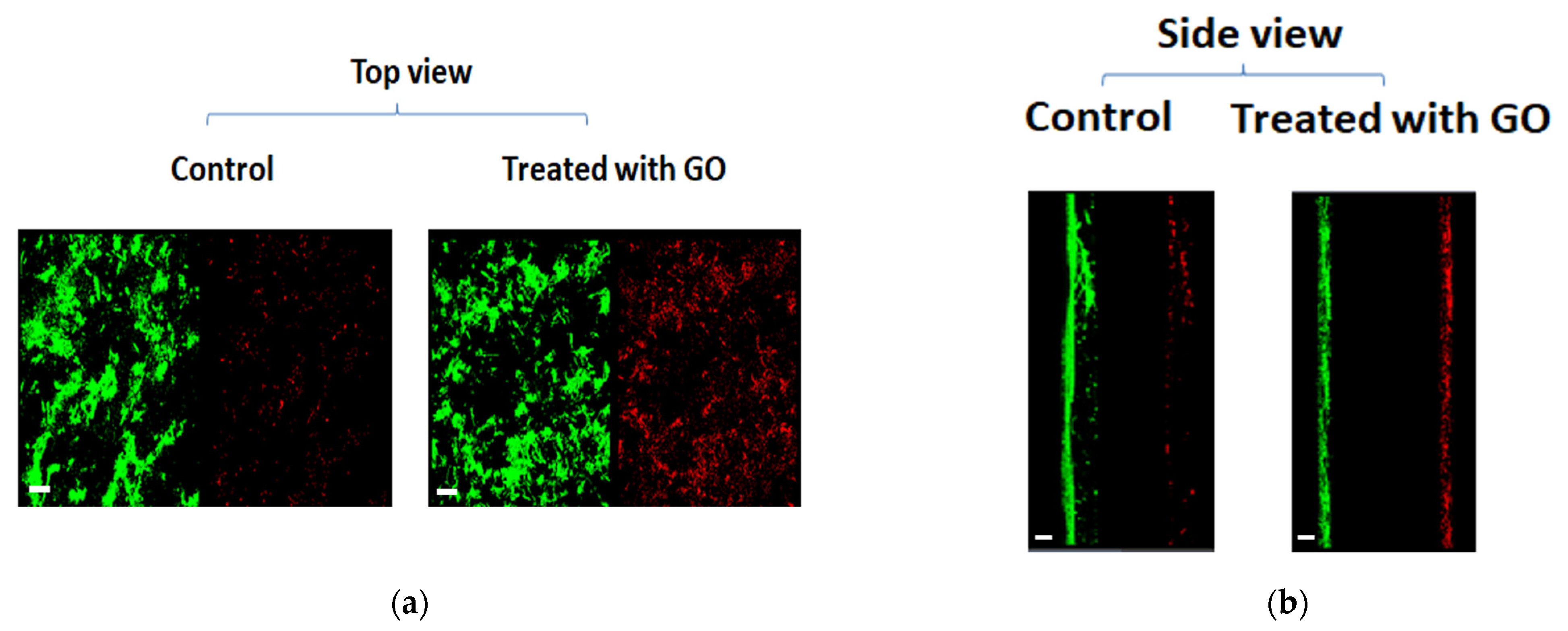 Microorganisms 11 00609 g006