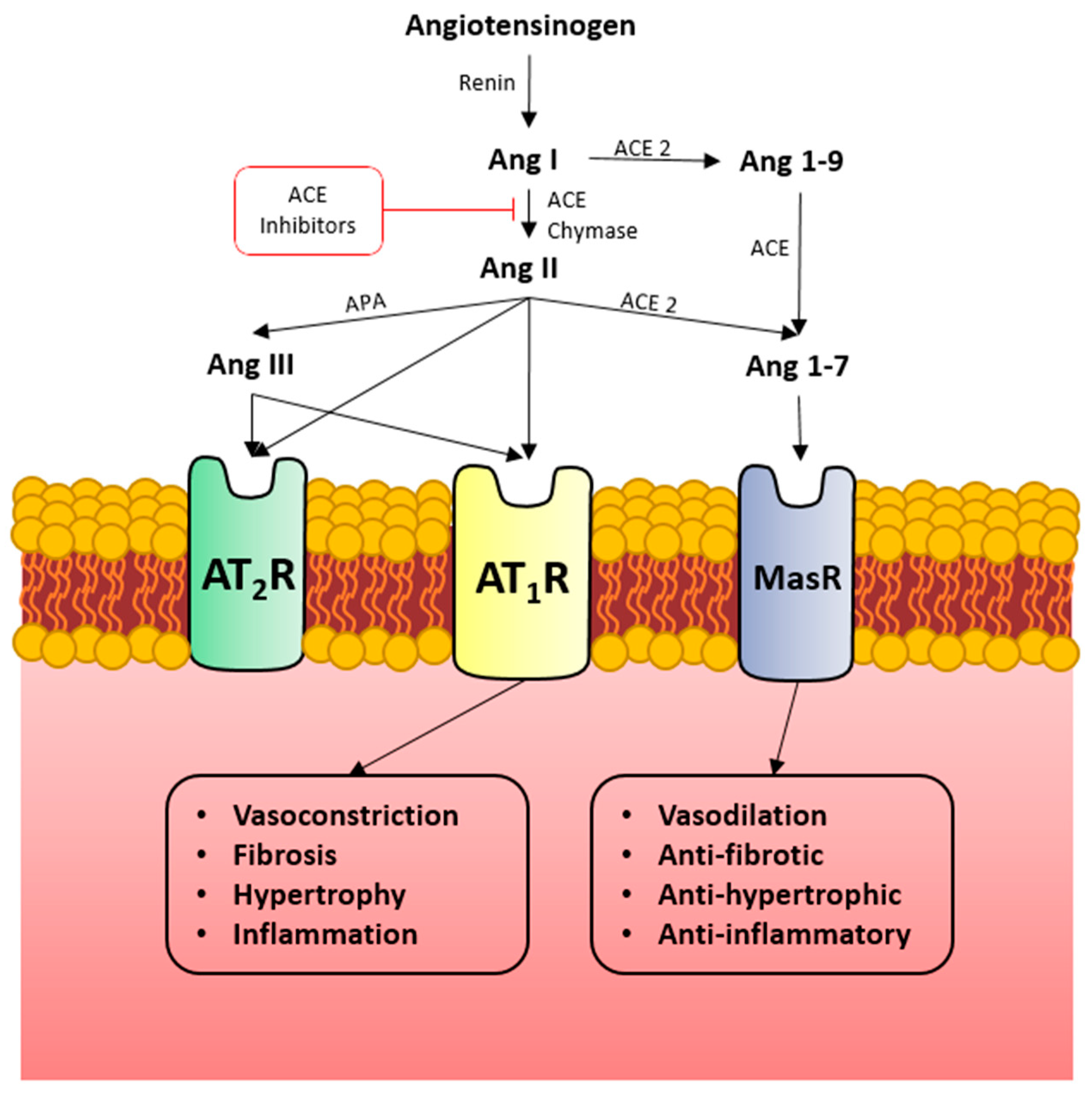 Microorganisms 11 00612 g001