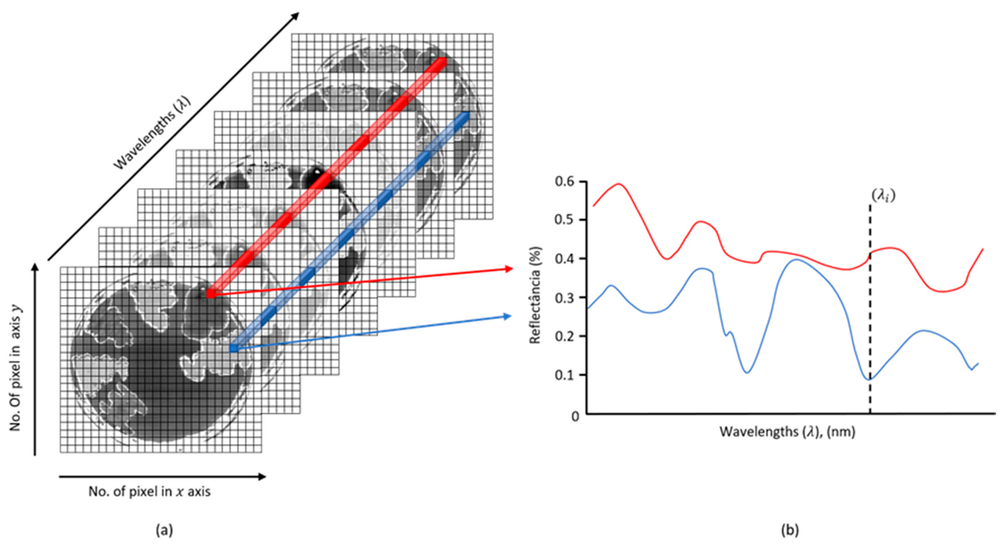 Microorganisms 11 00615 g001