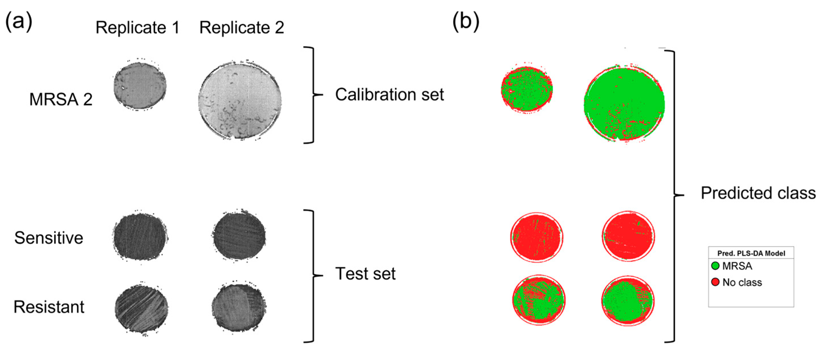 Microorganisms 11 00615 g005