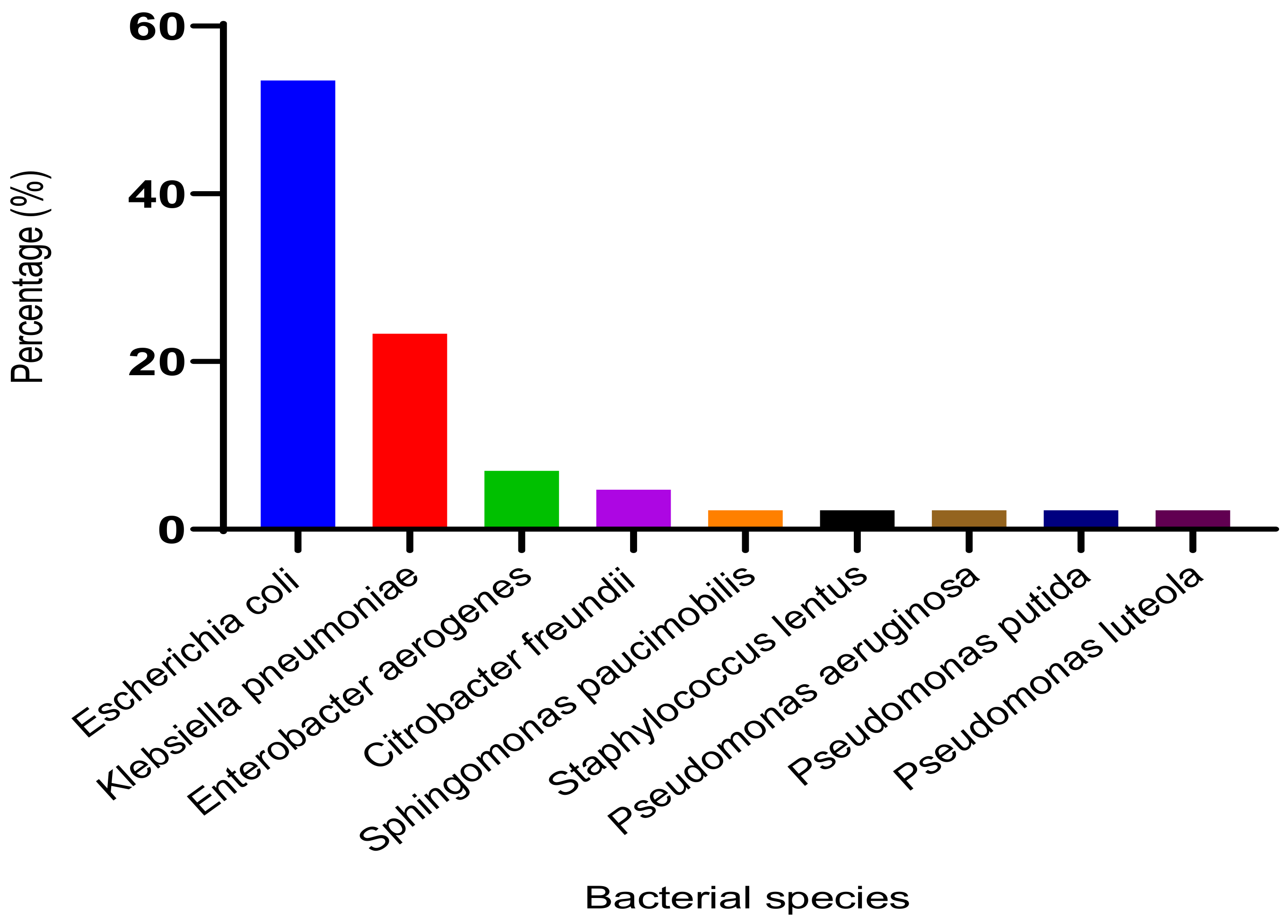 Microorganisms 11 00617 g002 Microorganisms 11 00617 g002