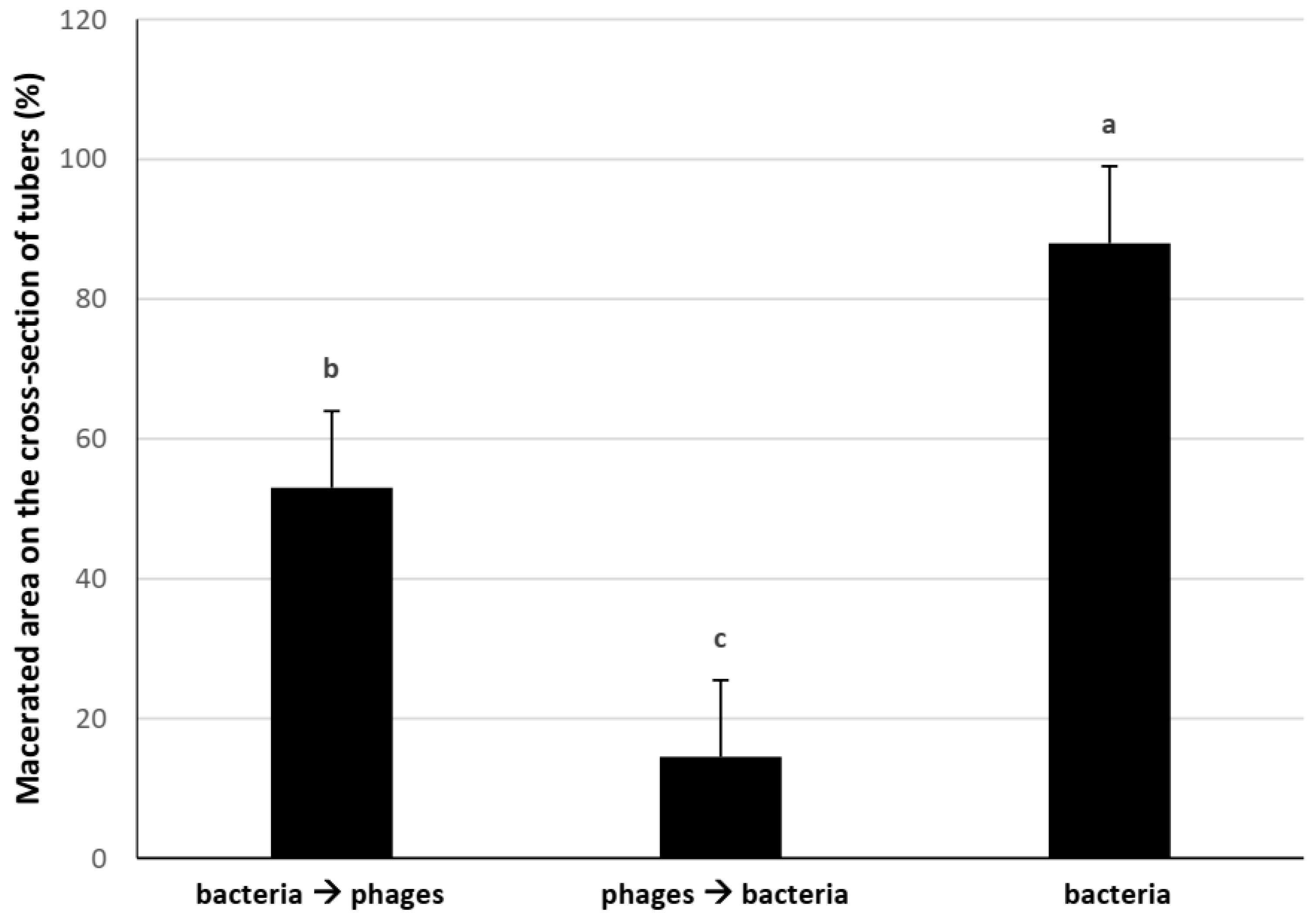 Microorganisms 11 00620 g002
