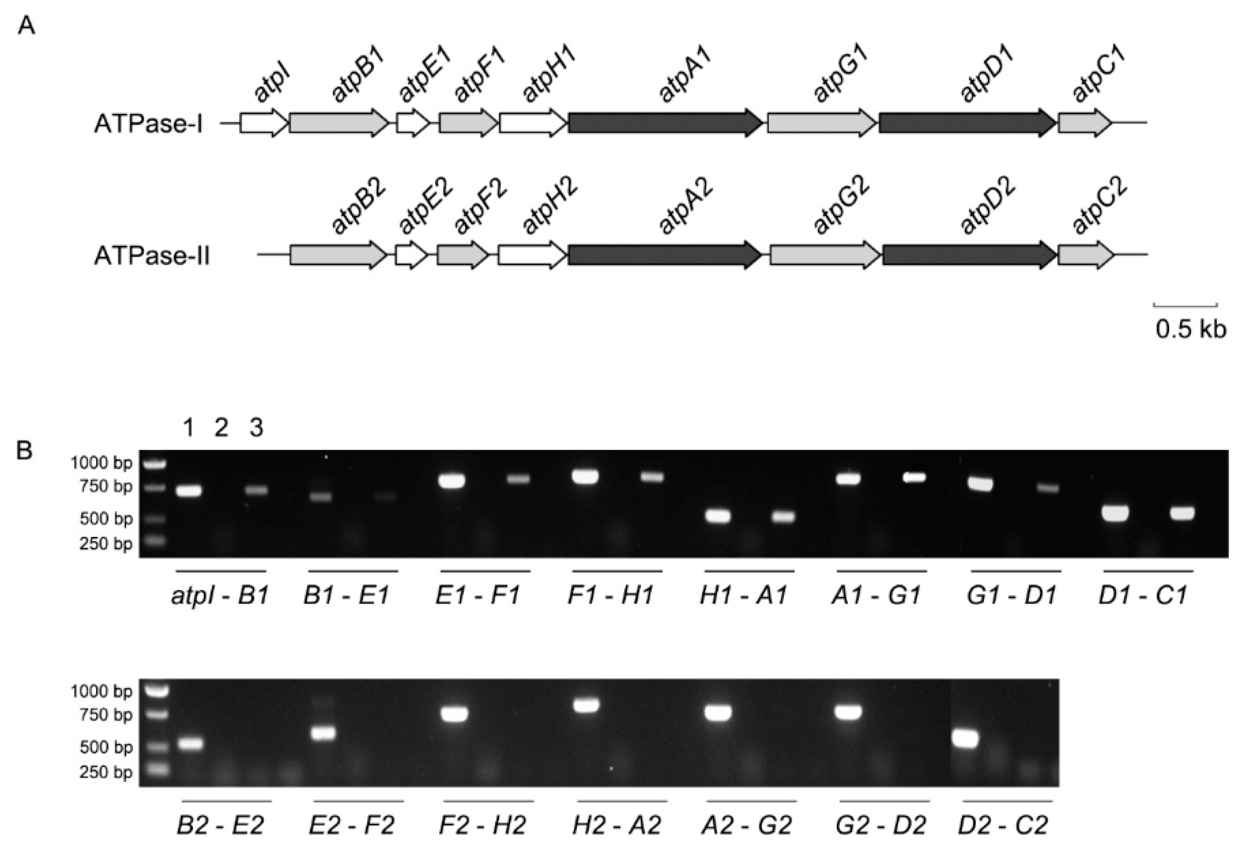 Microorganisms 11 00637 g001 Microorganisms 11 00637 g001