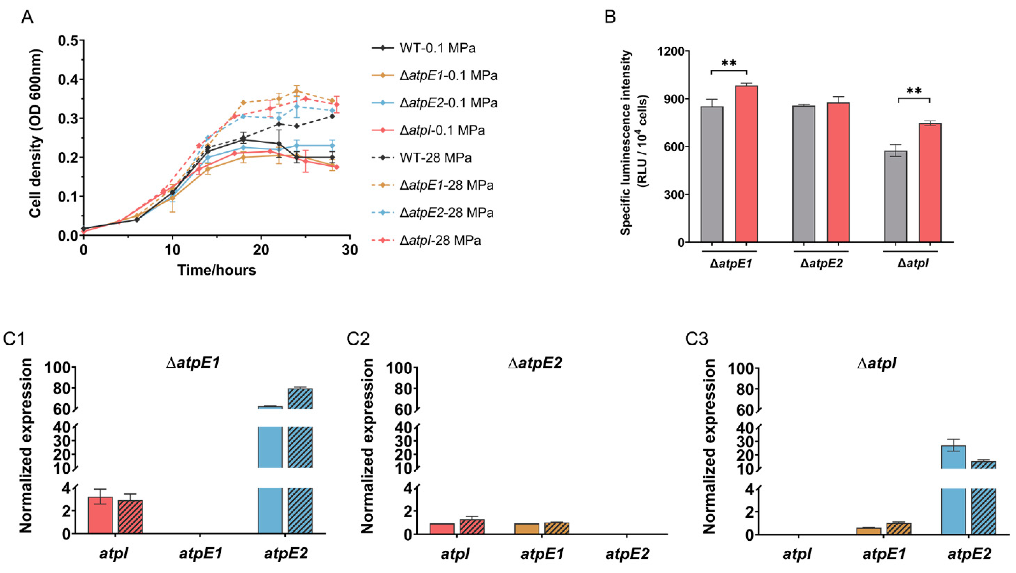 Microorganisms 11 00637 g003 Microorganisms 11 00637 g003