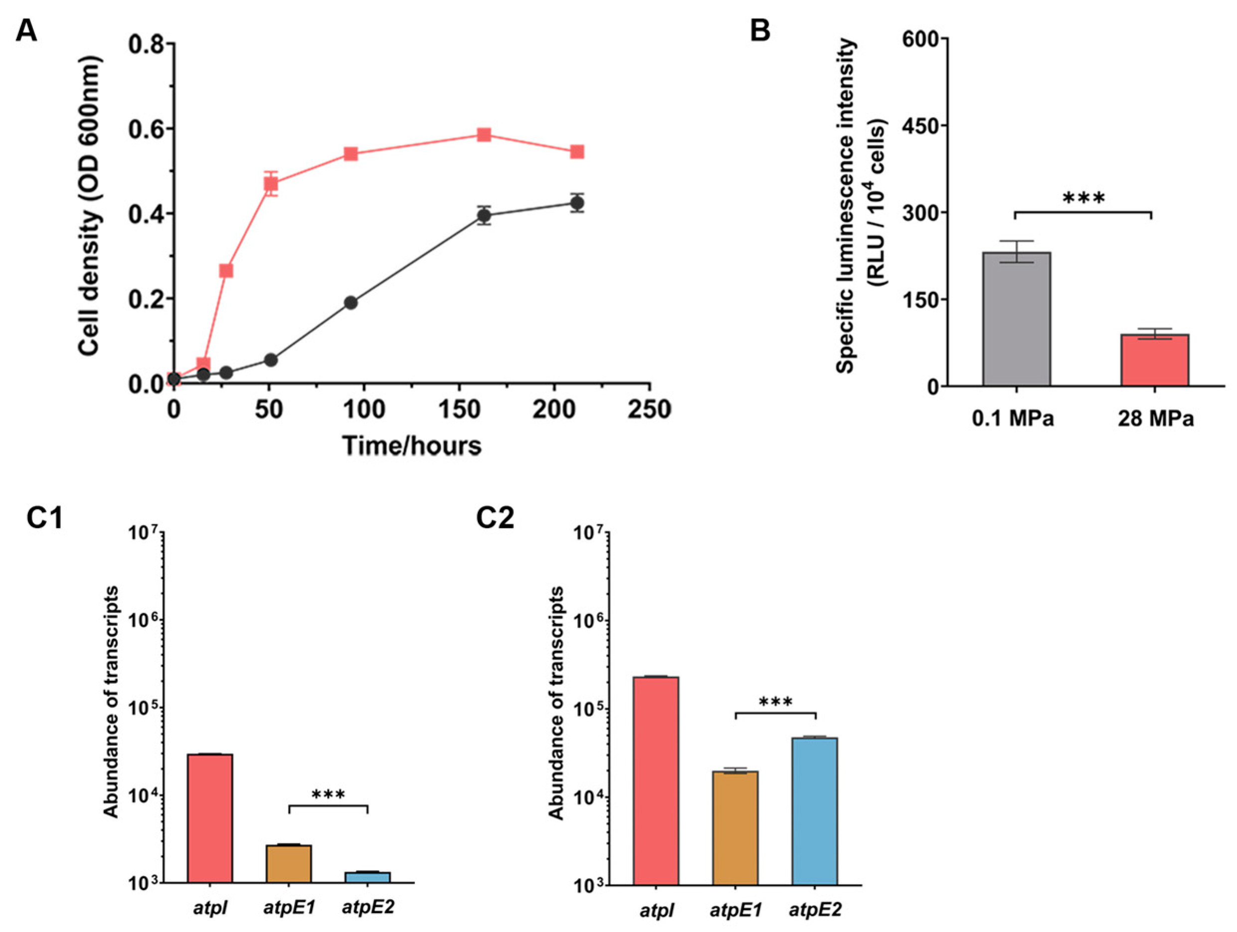 Microorganisms 11 00637 g004 Microorganisms 11 00637 g004