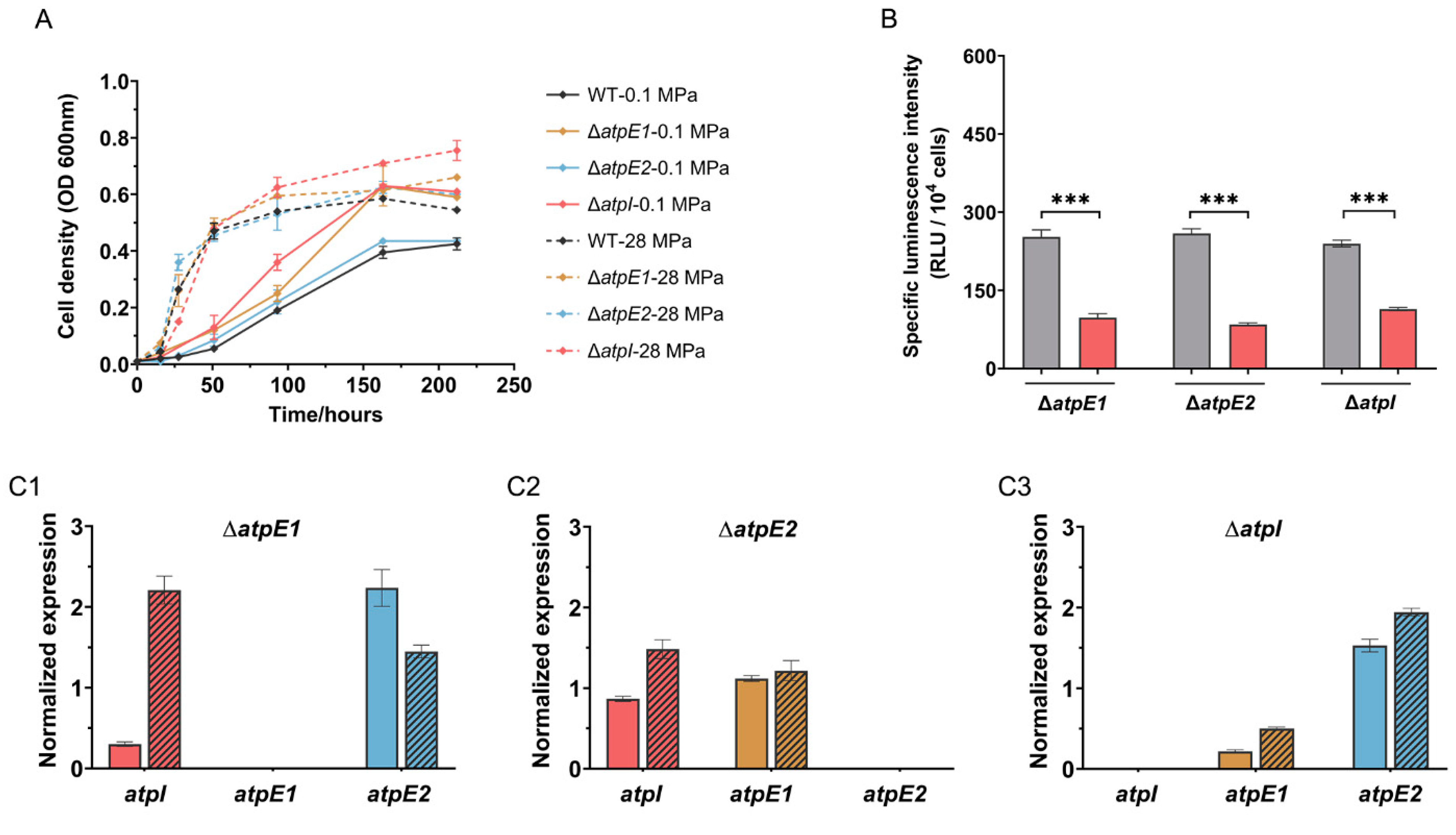 Microorganisms 11 00637 g005 Microorganisms 11 00637 g005