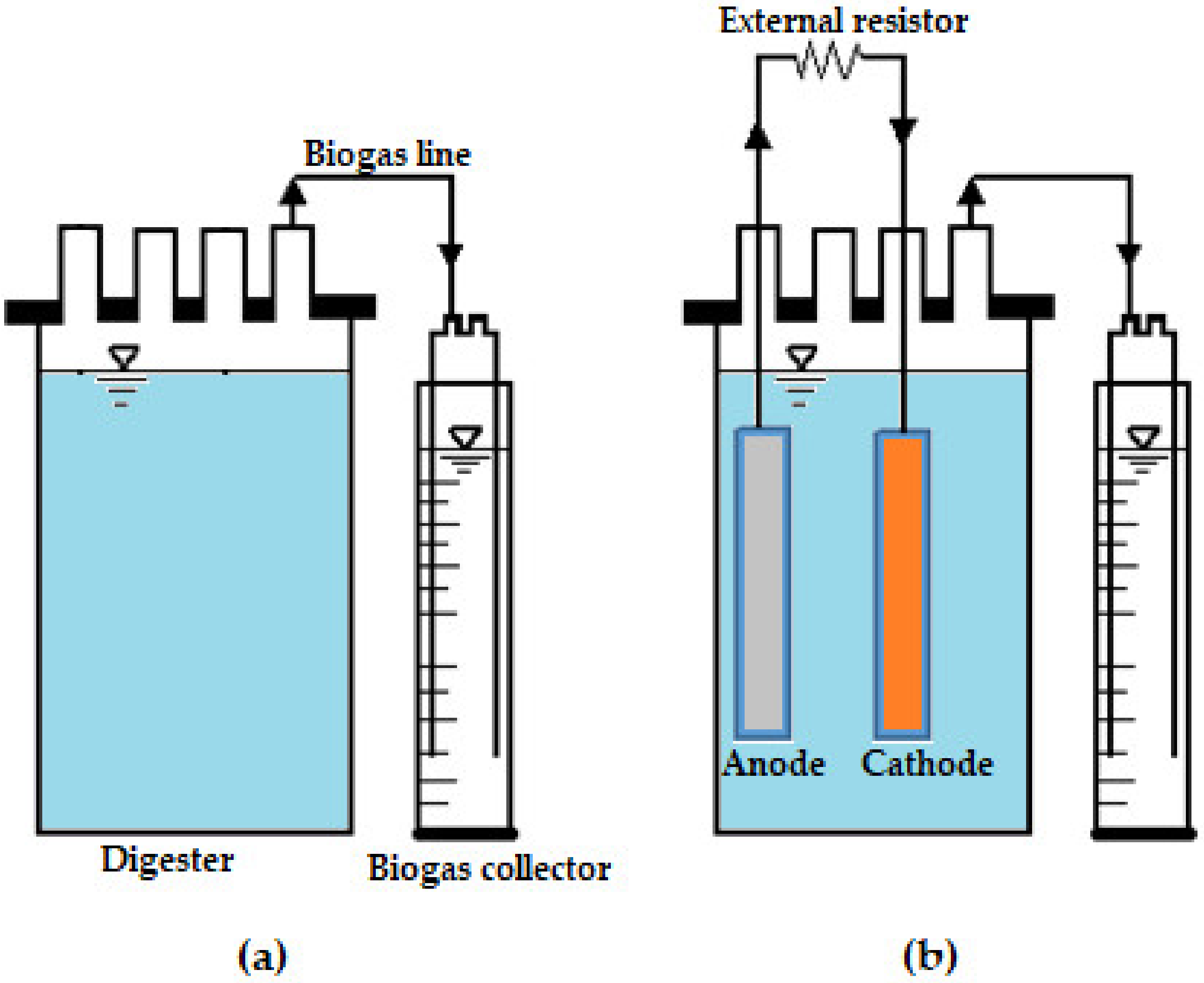 Microorganisms 11 00643 g001