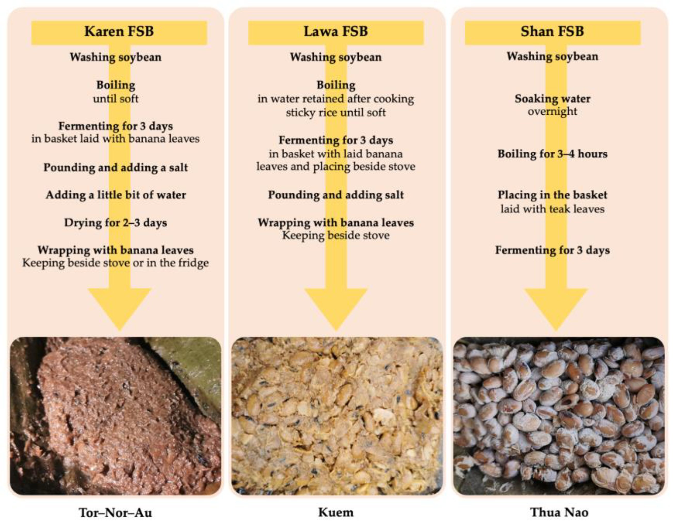 Microorganisms 11 00649 g001
