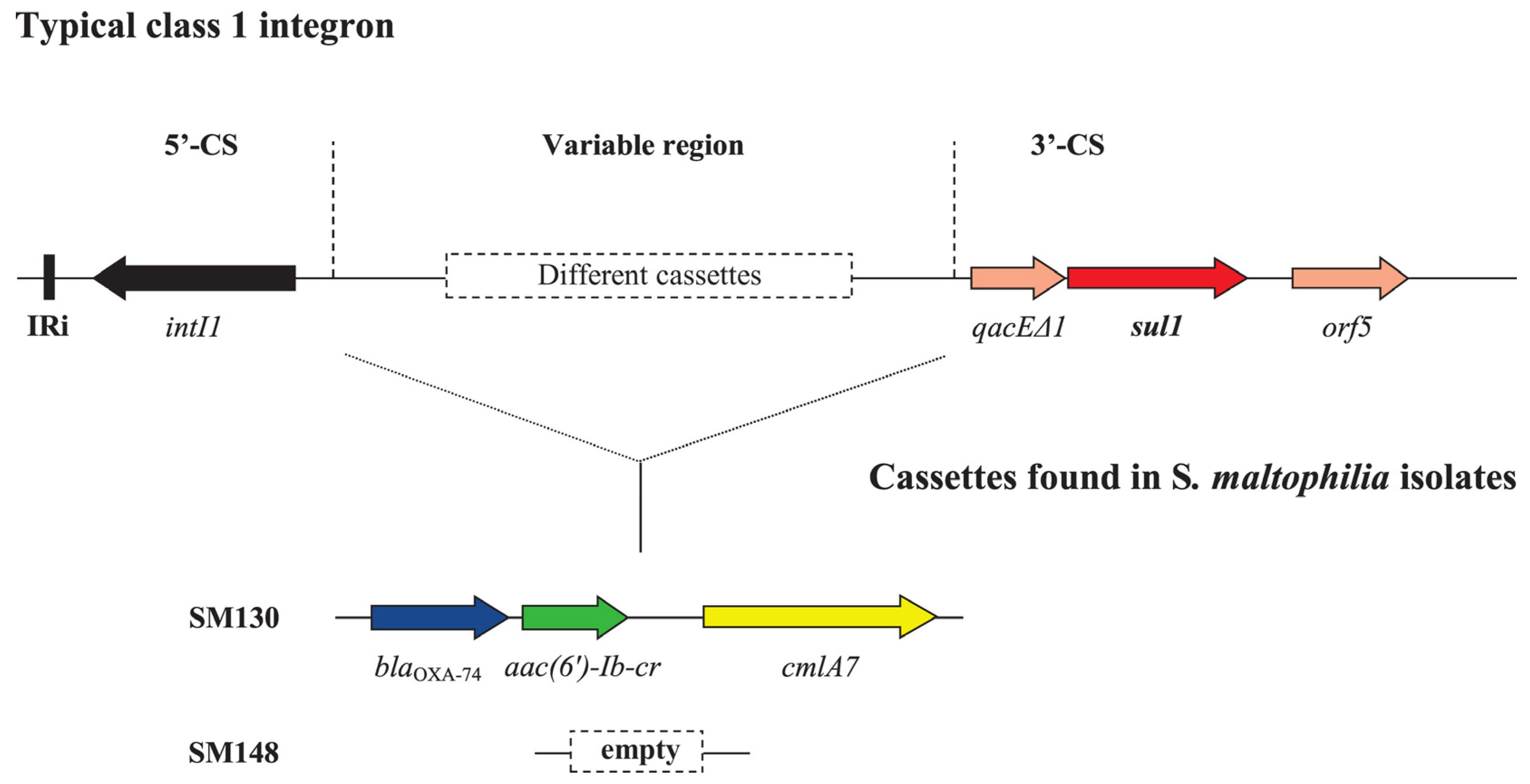 Microorganisms 11 00651 g003