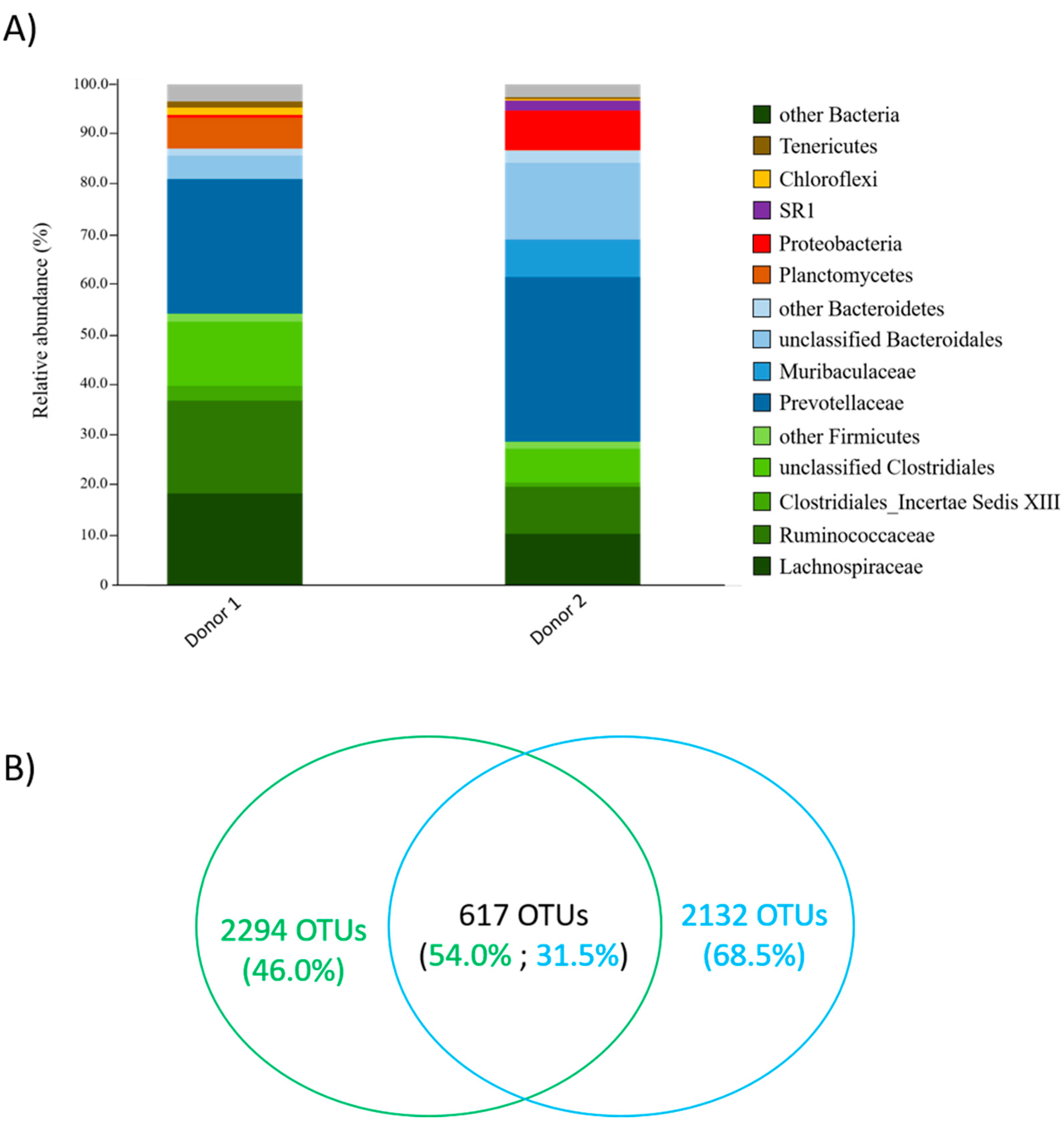 Microorganisms 11 00658 g001