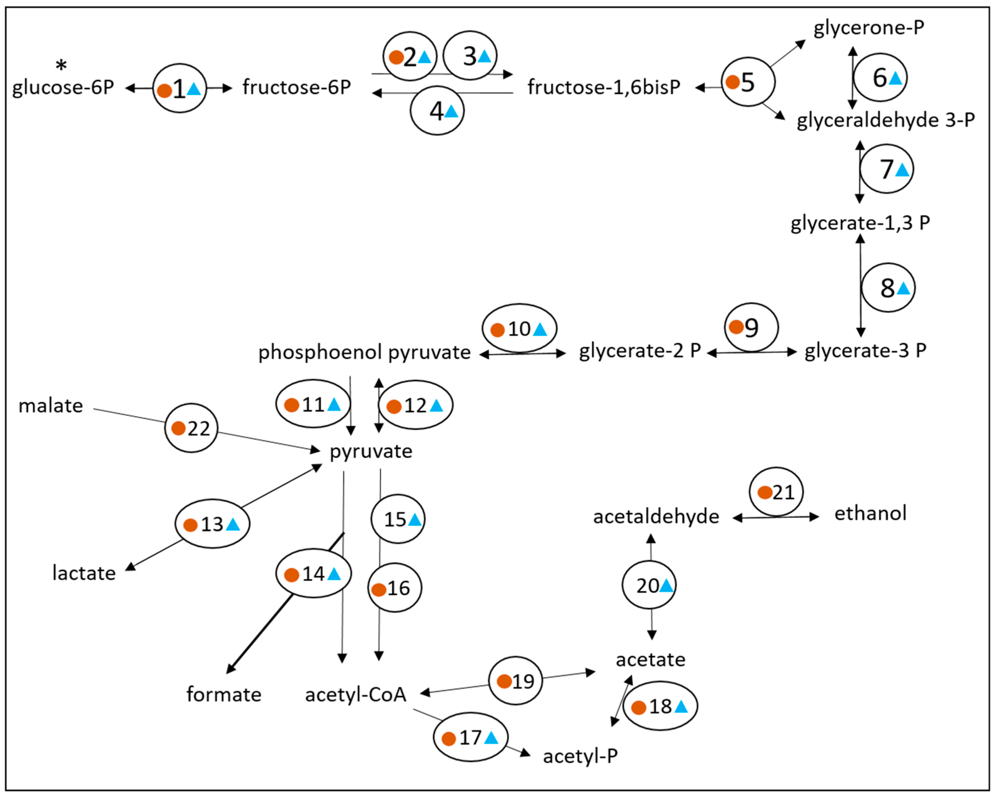 Microorganisms 11 00658 g002