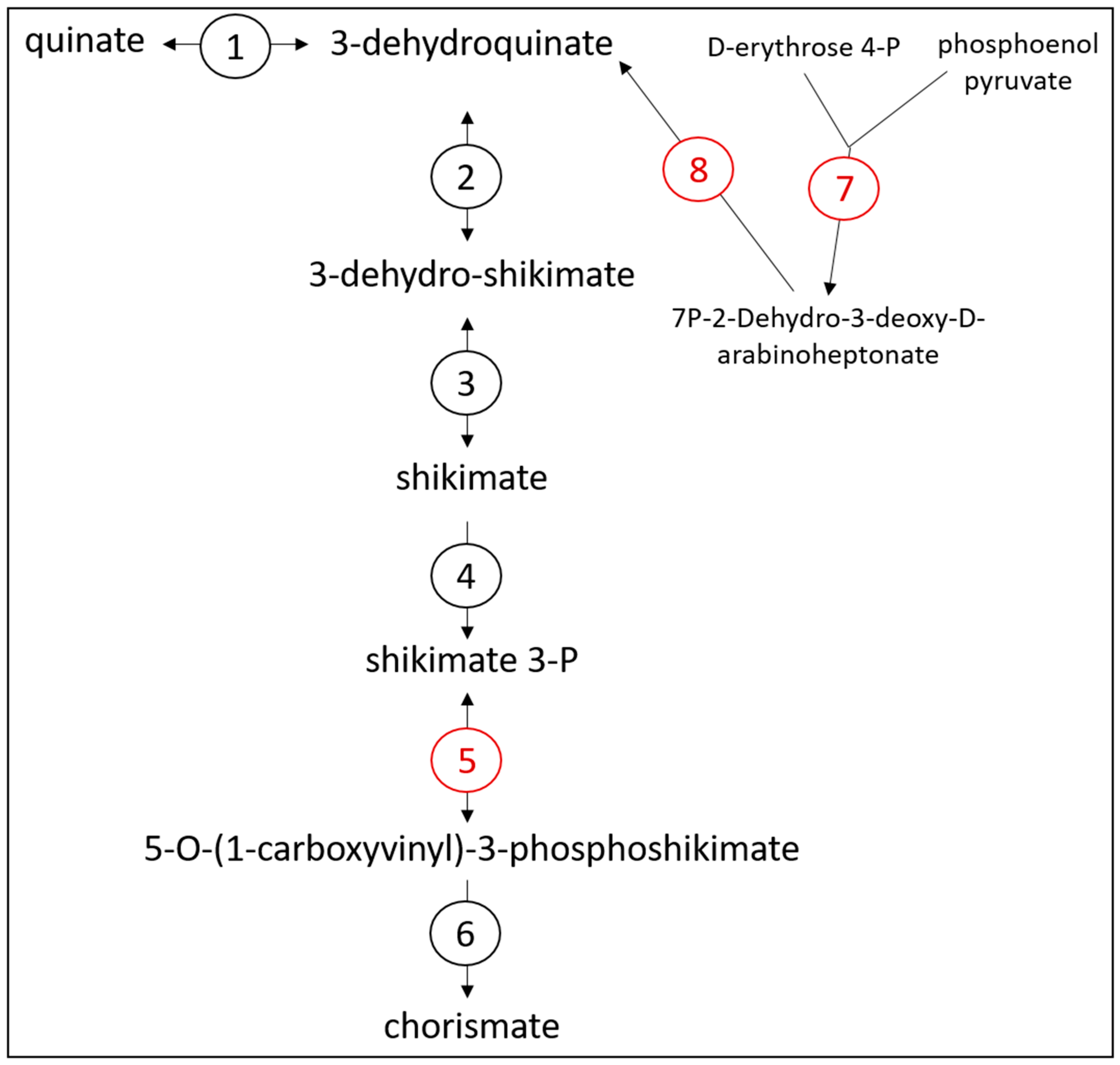Microorganisms 11 00658 g004