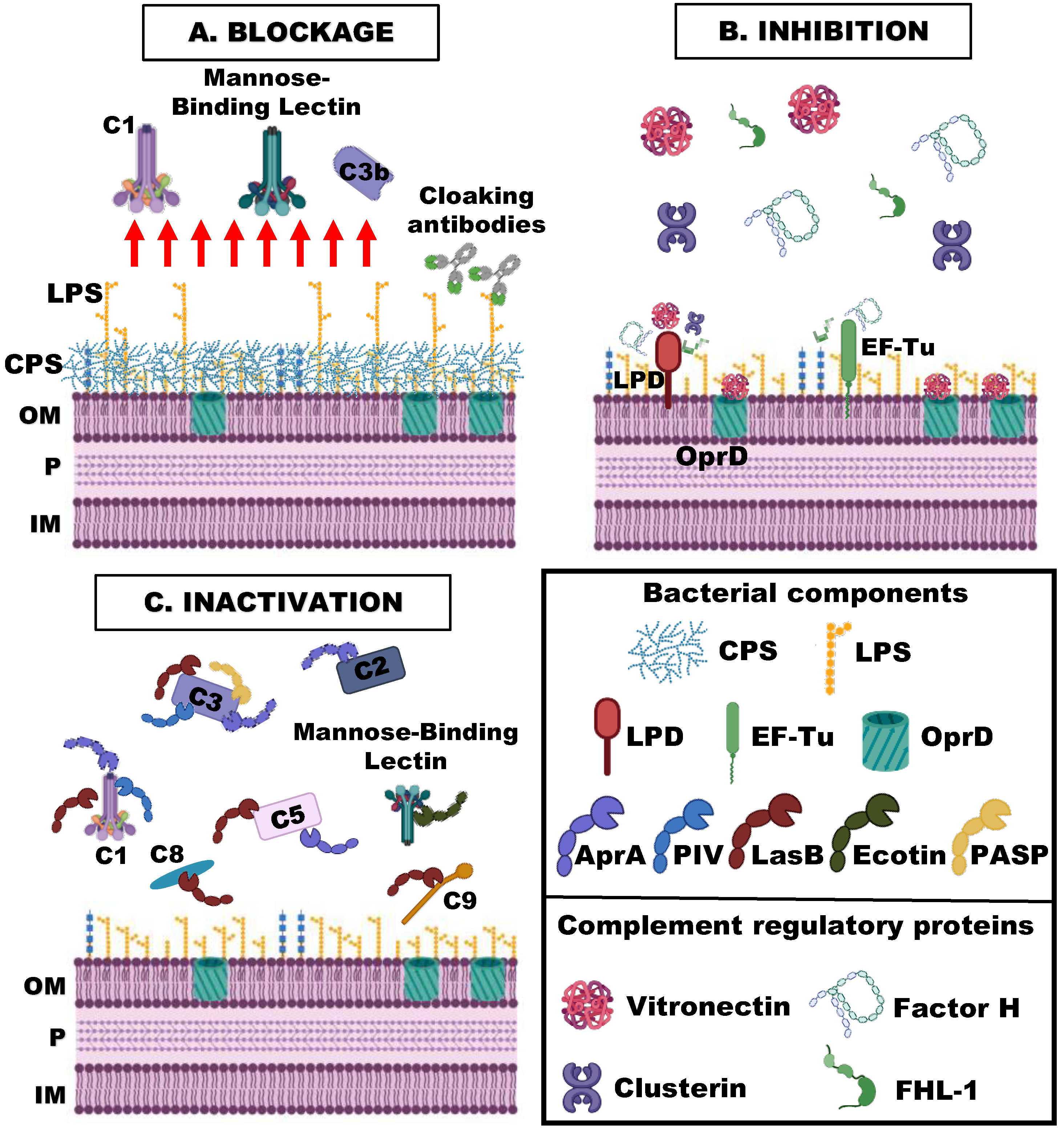 Microorganisms 11 00664 g002