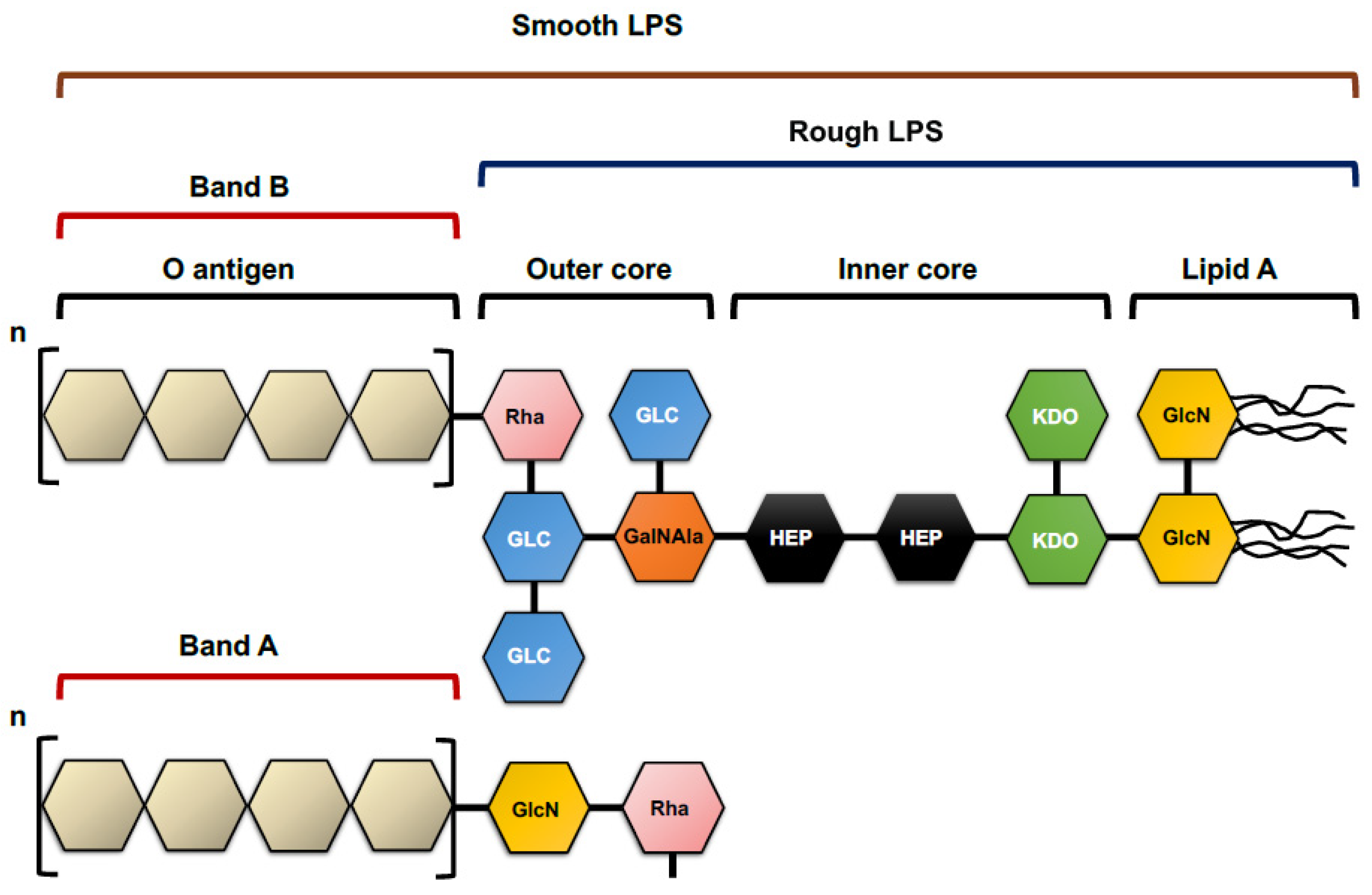 Microorganisms 11 00664 g003