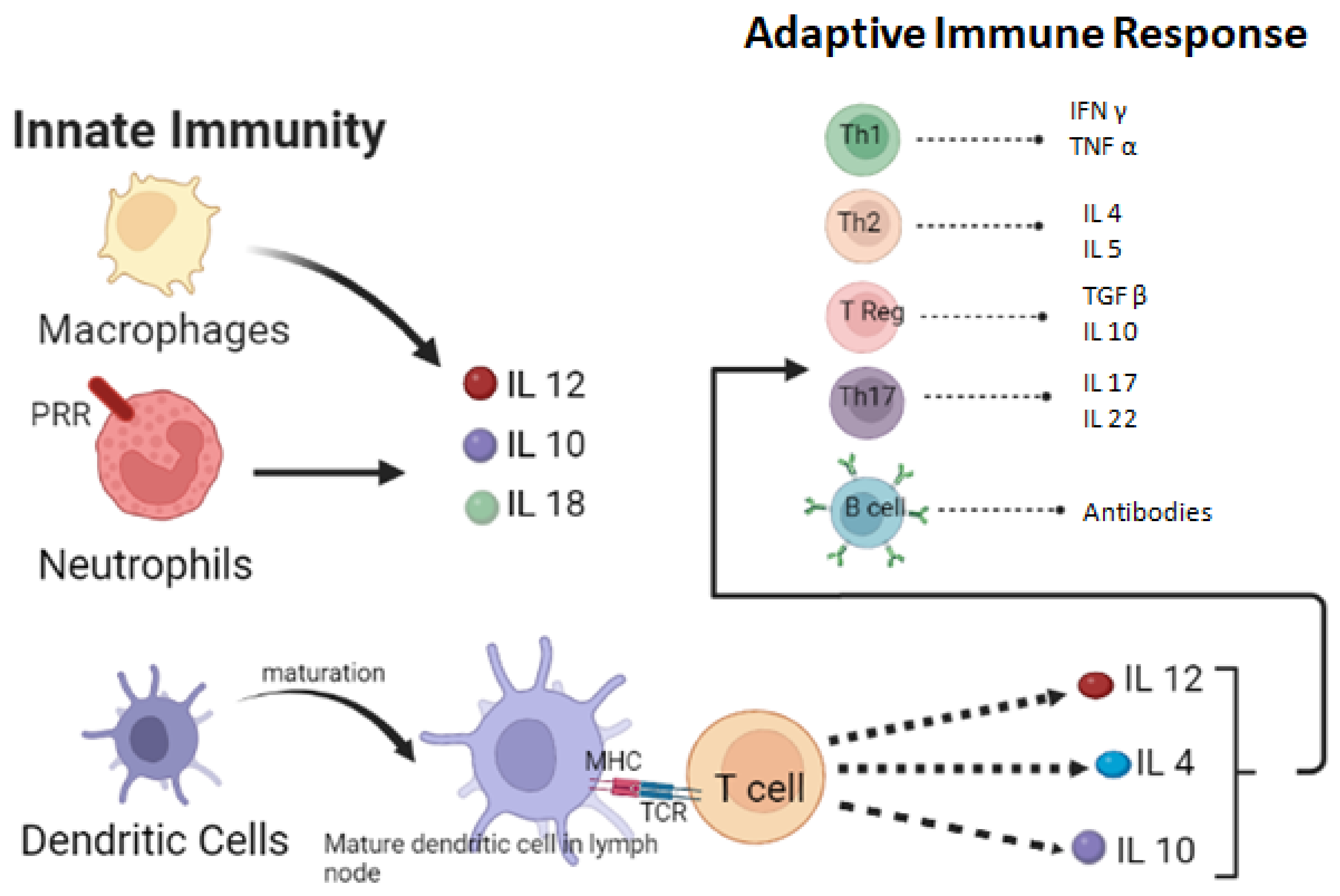 Microorganisms 11 00671 g002