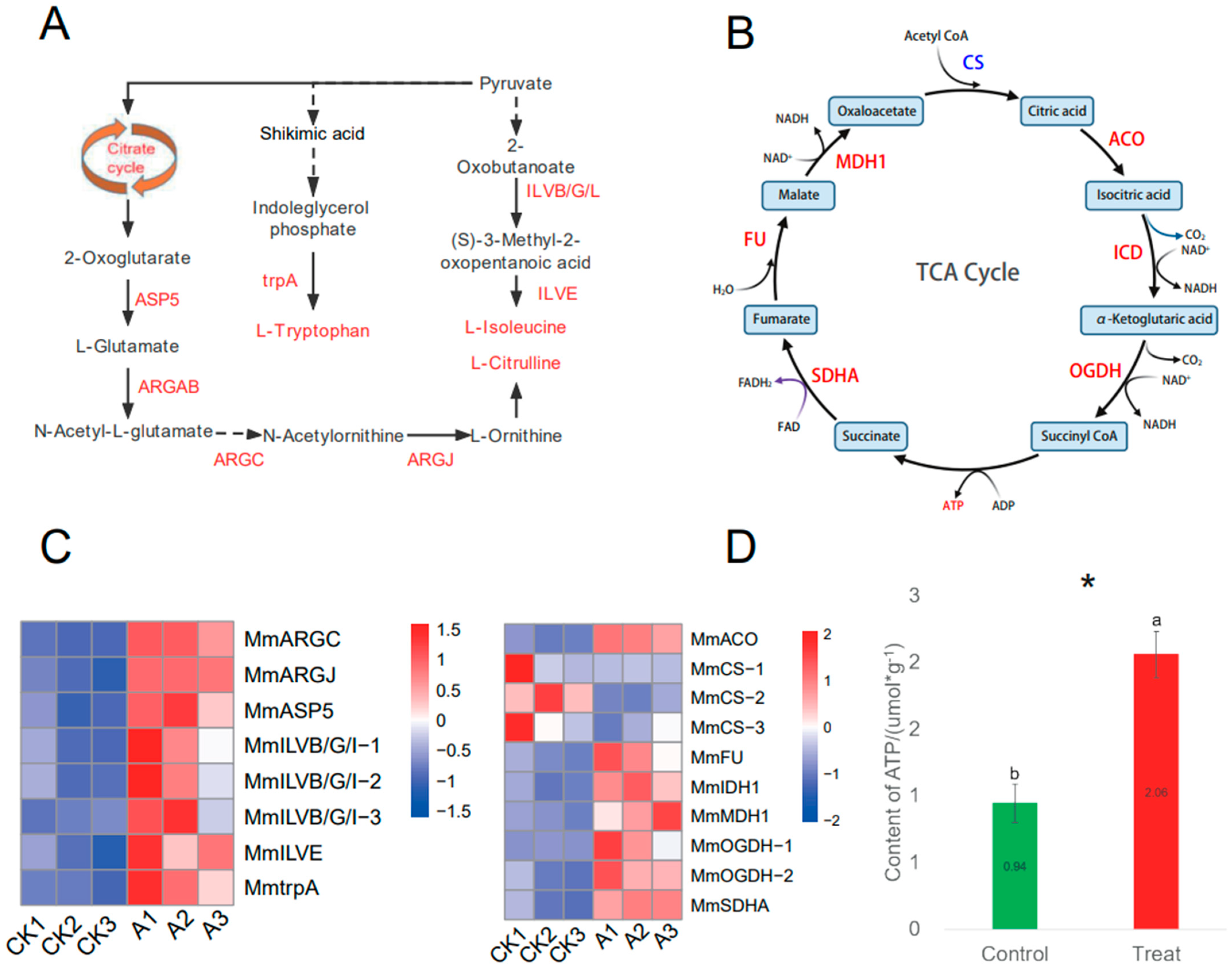 Microorganisms 11 00678 g004