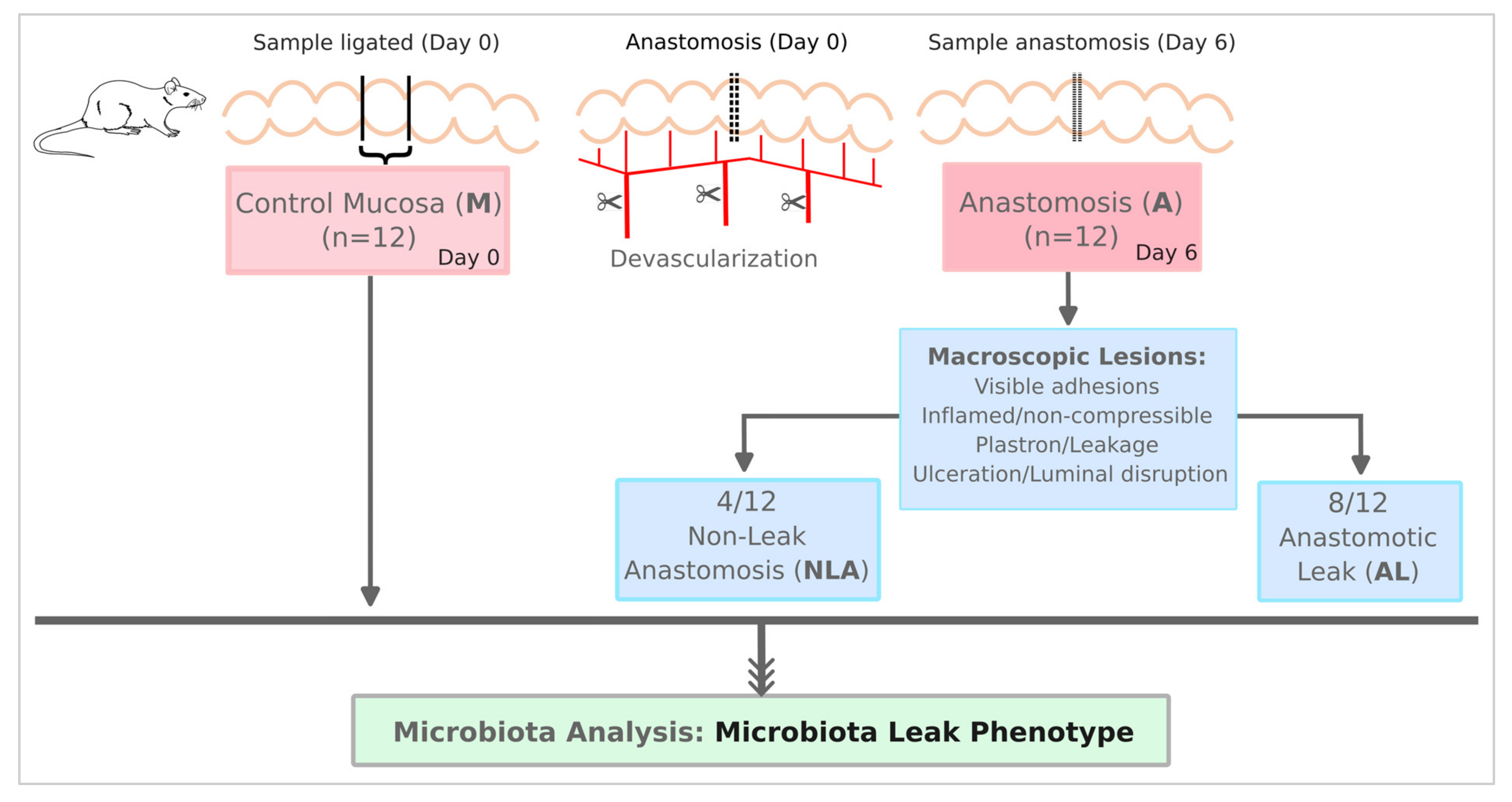 Microorganisms 11 00680 g001 Microorganisms 11 00680 g001