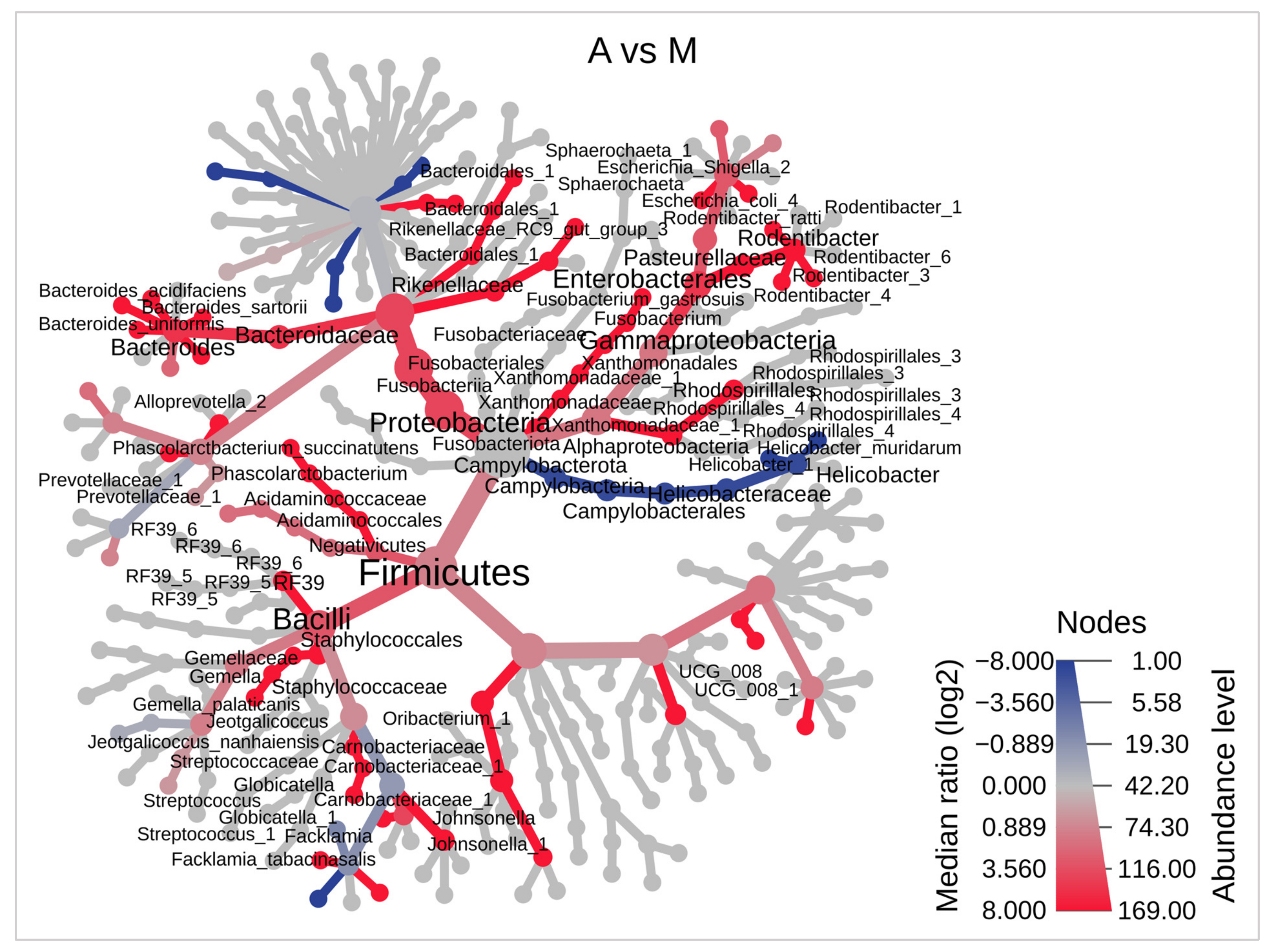 Microorganisms 11 00680 g004 Microorganisms 11 00680 g004