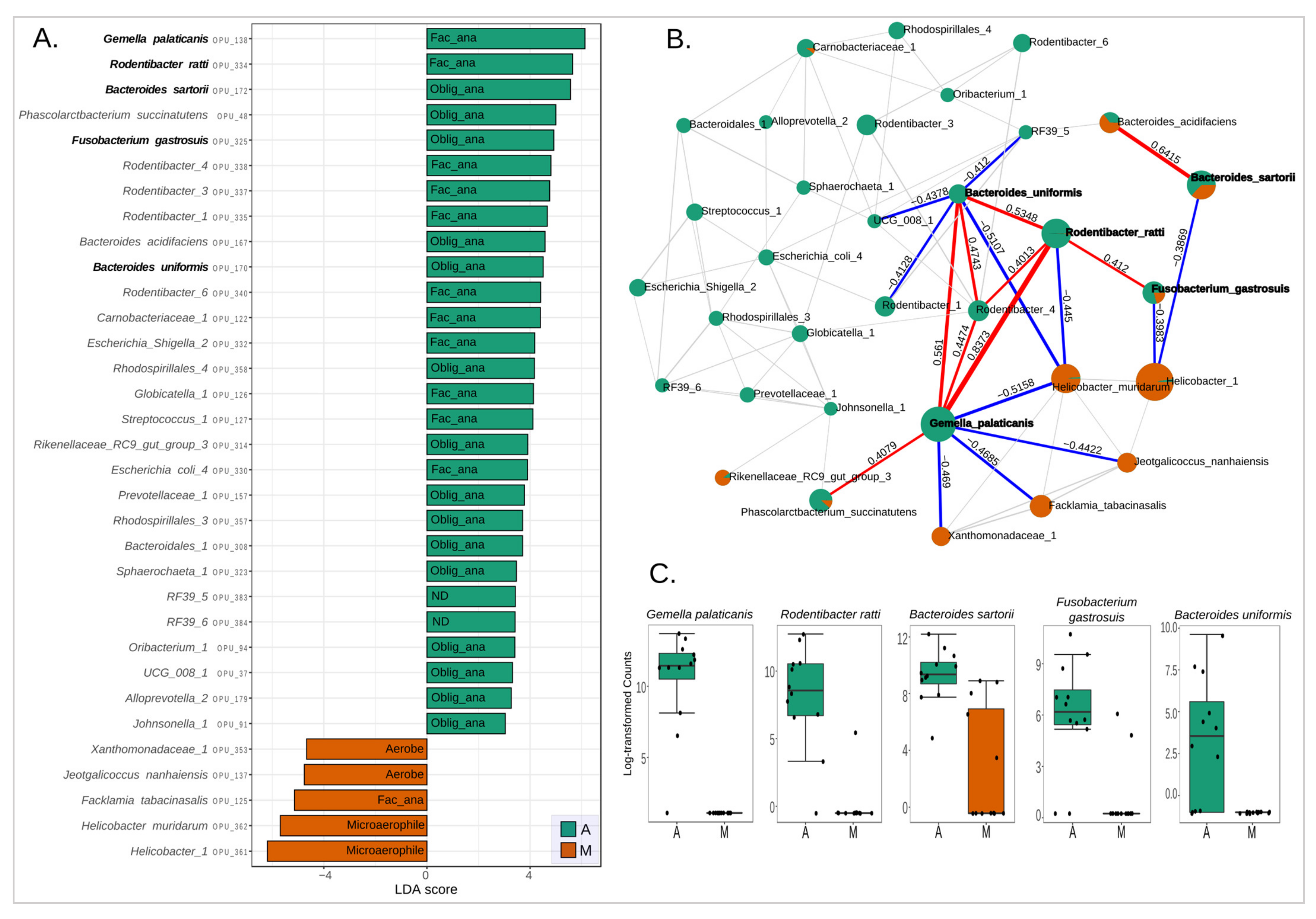 Microorganisms 11 00680 g005 Microorganisms 11 00680 g005