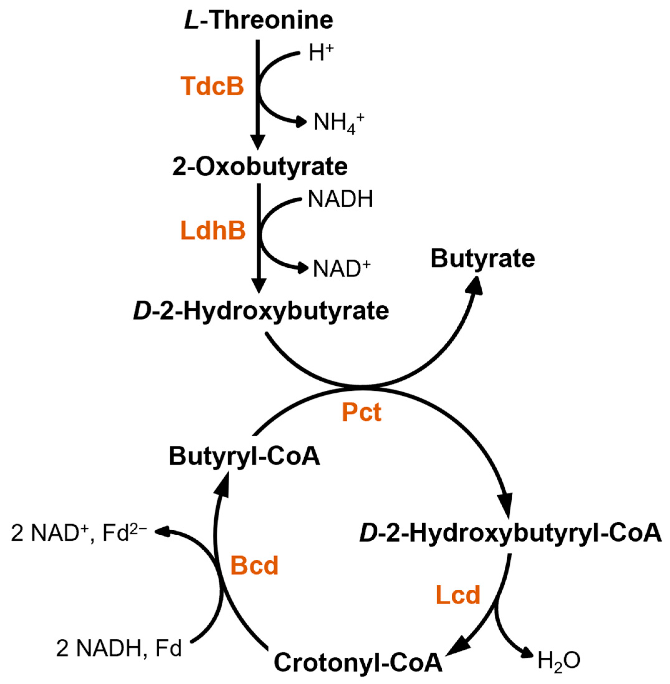 Microorganisms 11 00685 g004 Microorganisms 11 00685 g004