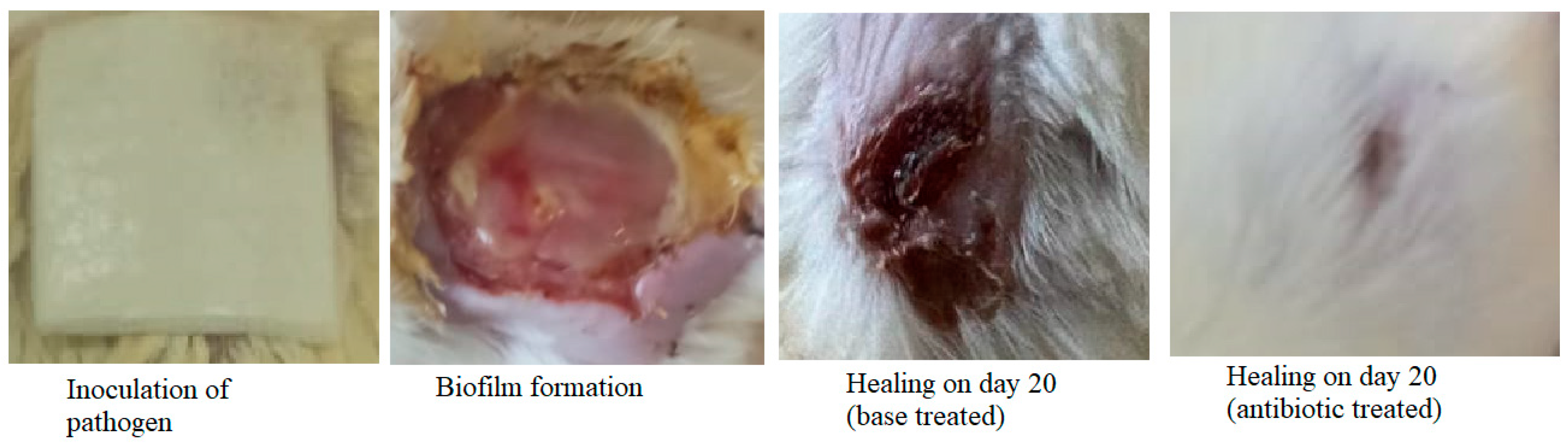 Microorganisms 11 00692 g007