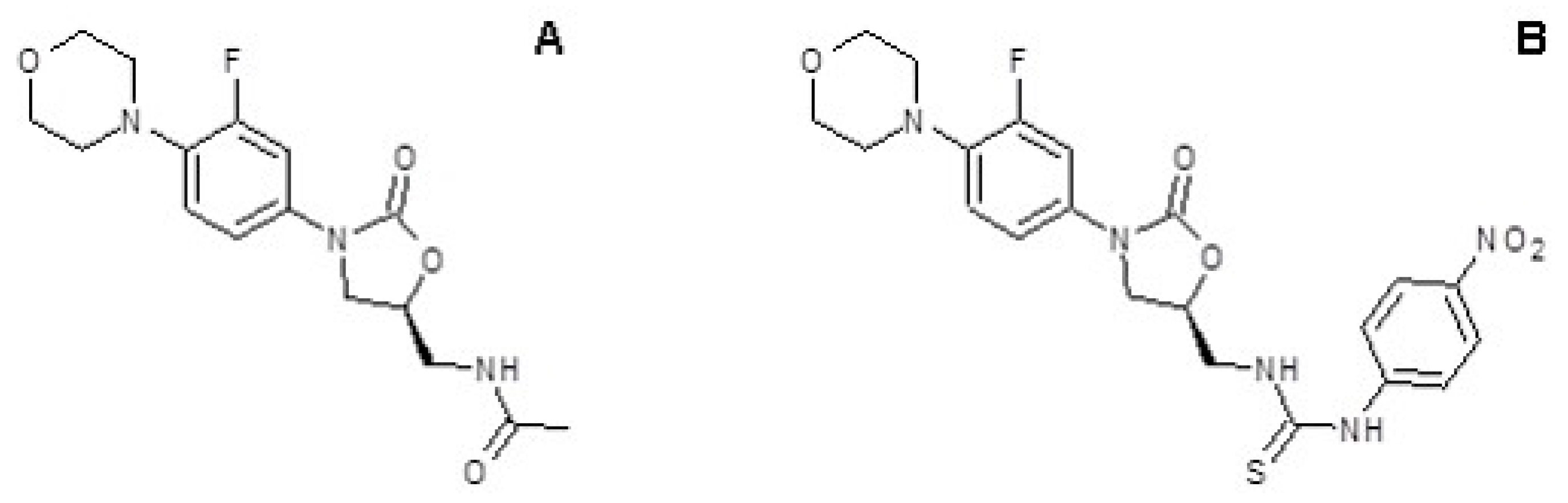 Microorganisms 11 00700 g001