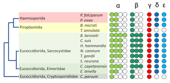 Microorganisms 11 00706 g002