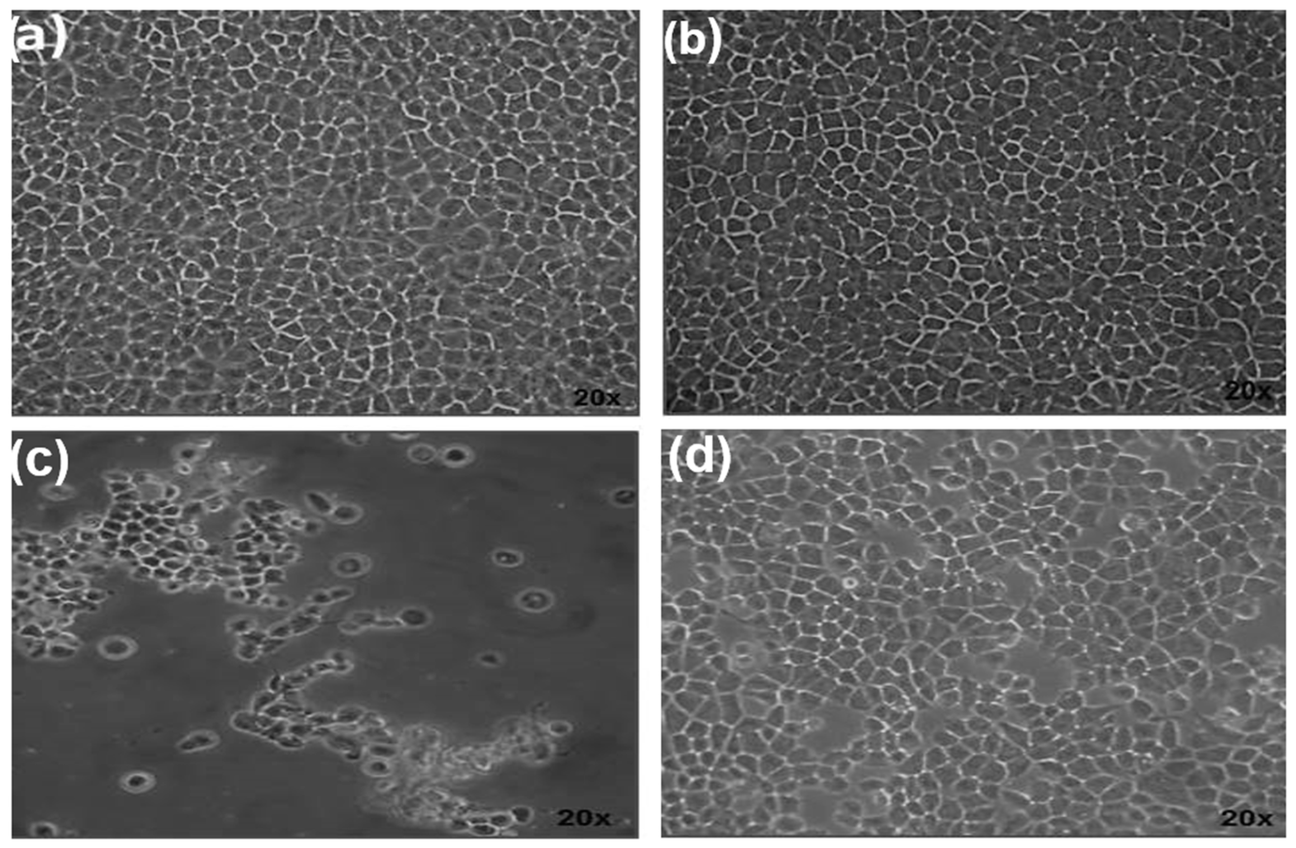 Microorganisms 11 00708 g005