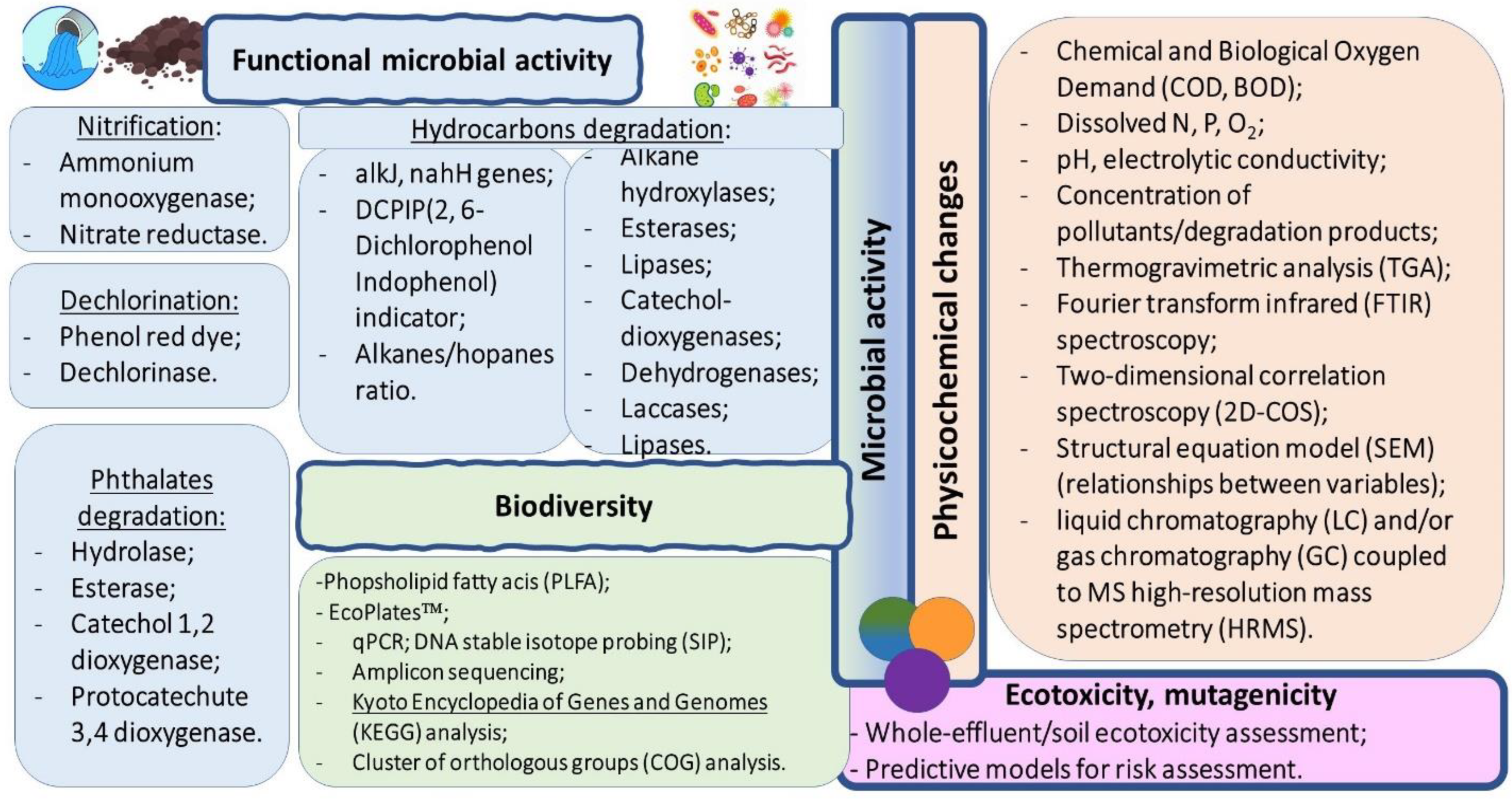 Microorganisms 11 00710 g001