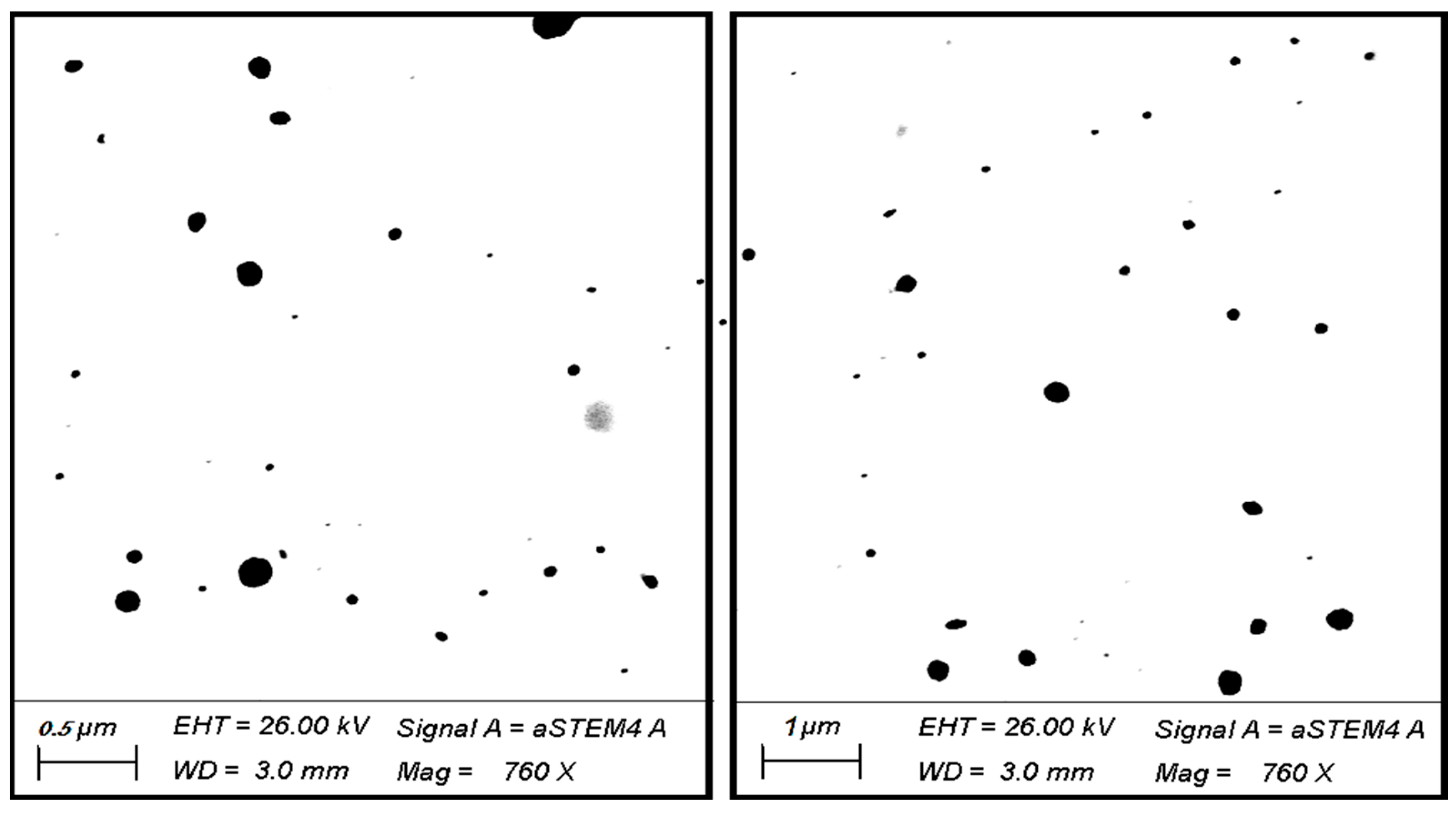 Microorganisms 11 00733 g002