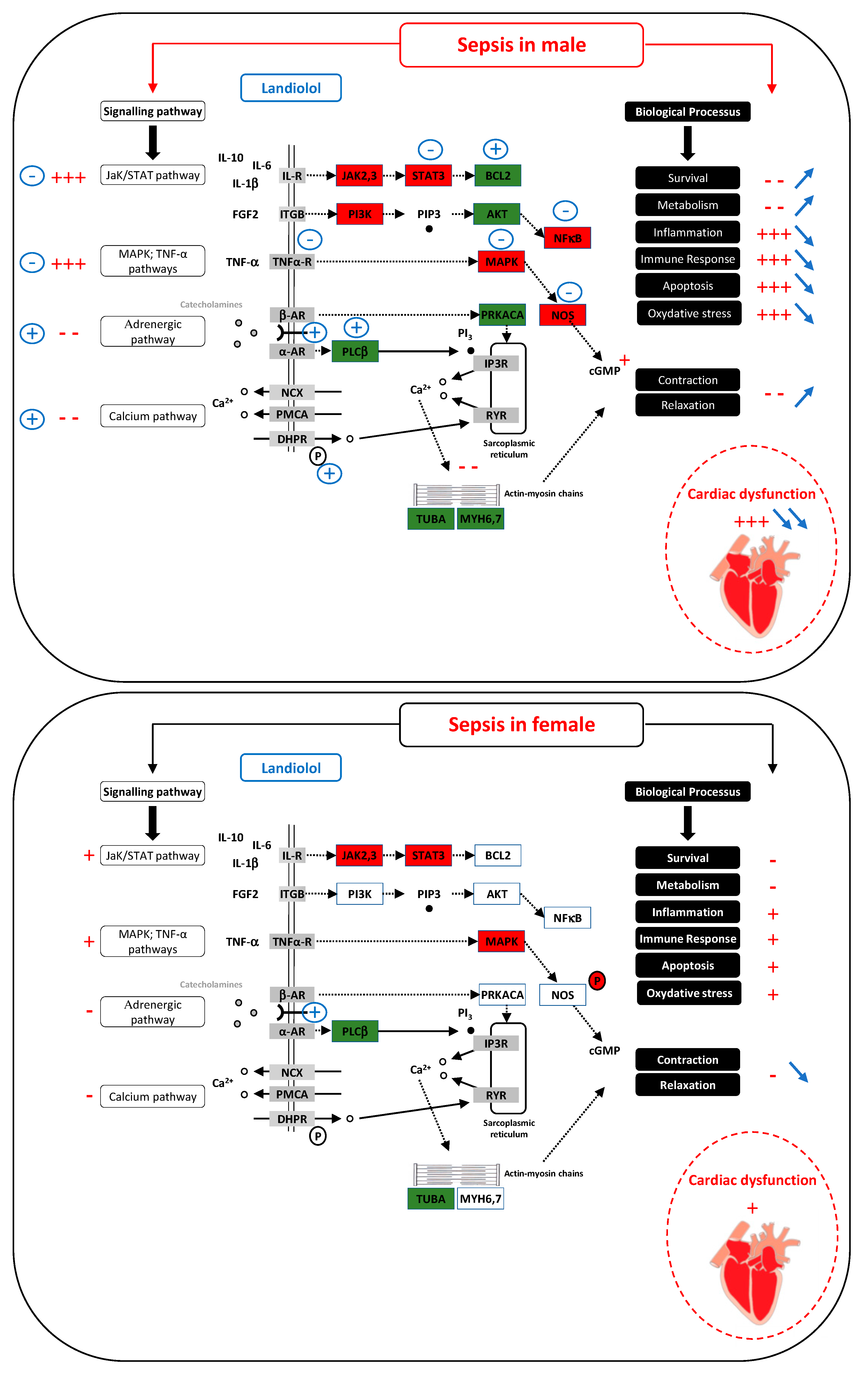 Microorganisms 11 00746 g001