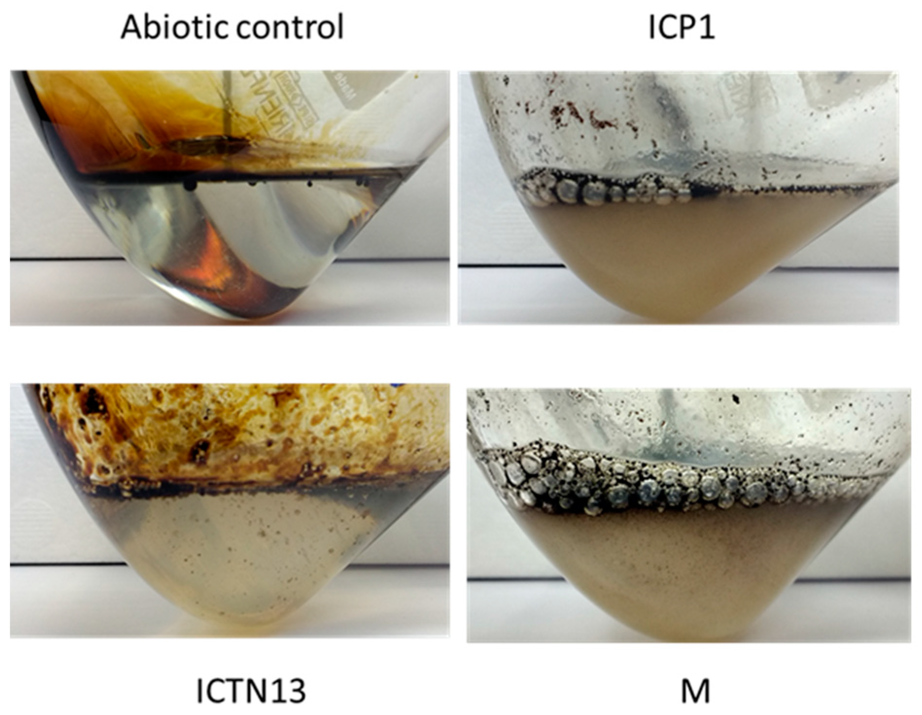 Microorganisms 11 00752 g004