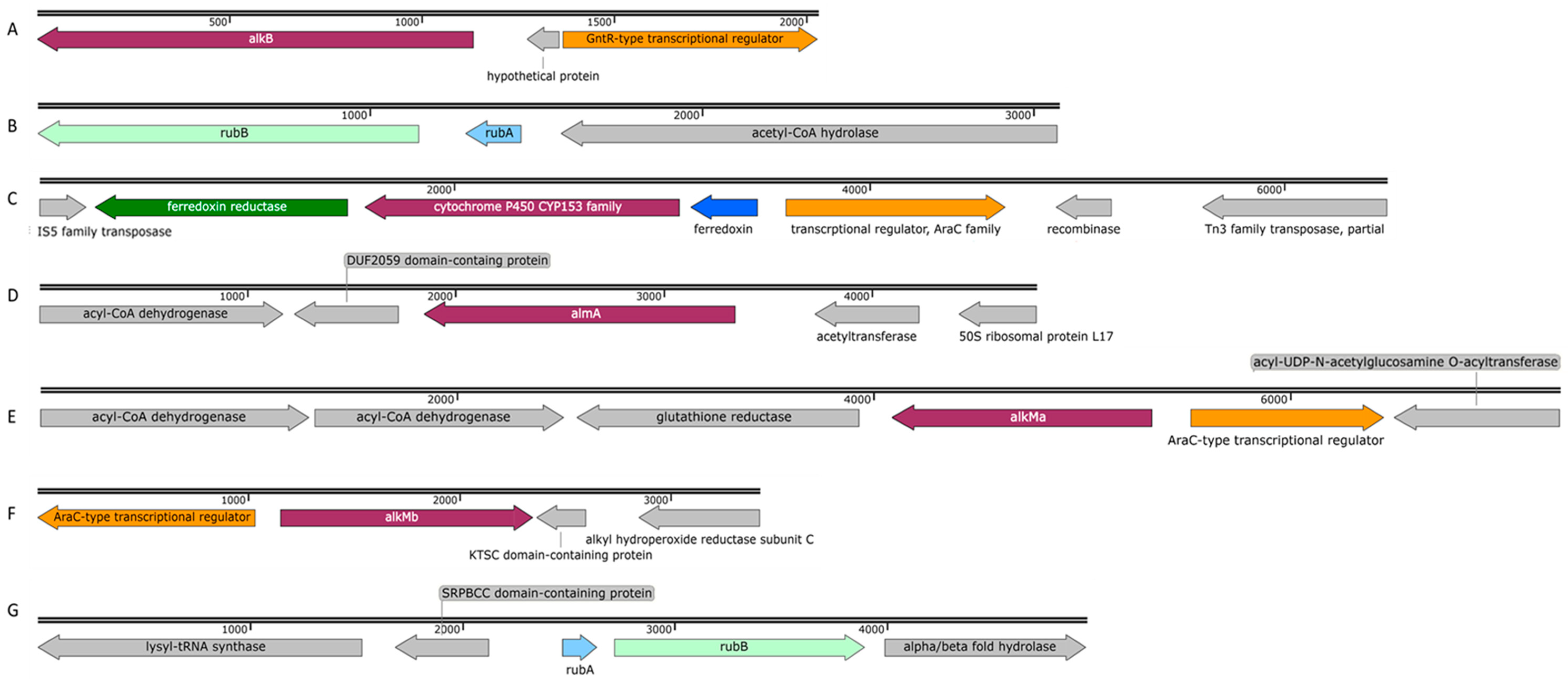 Microorganisms 11 00752 g006