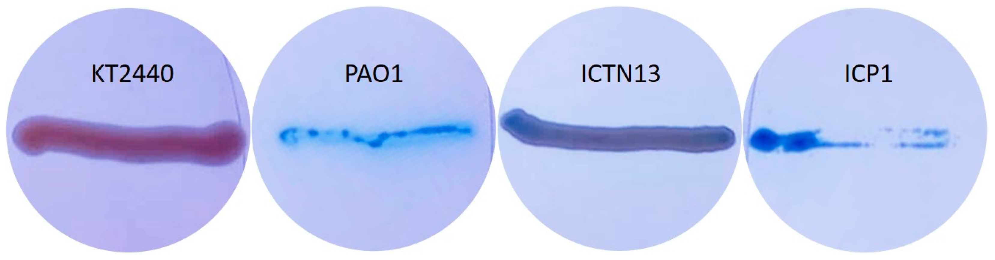 Microorganisms 11 00752 g010