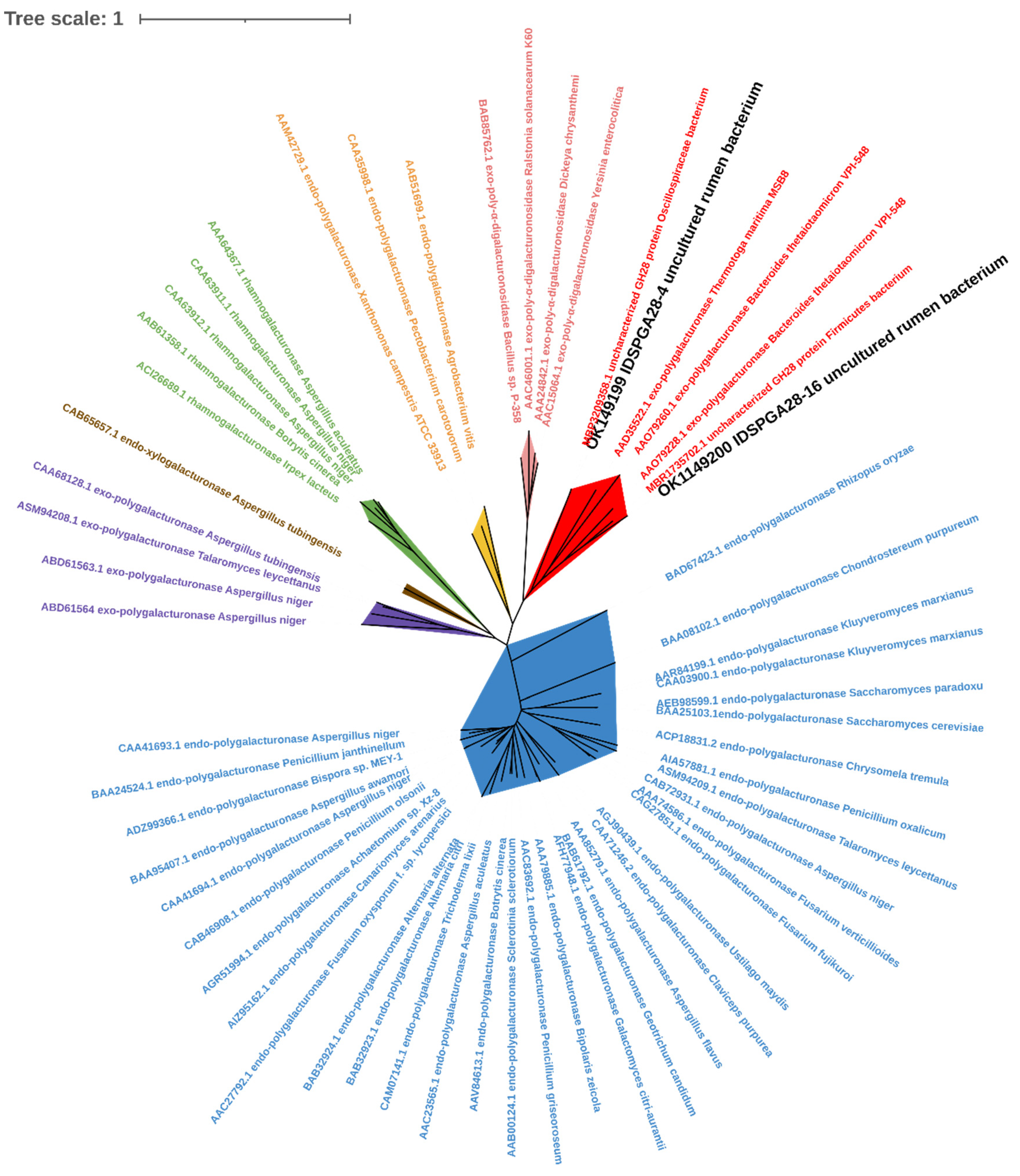 Microorganisms 11 00760 g001 Microorganisms 11 00760 g001