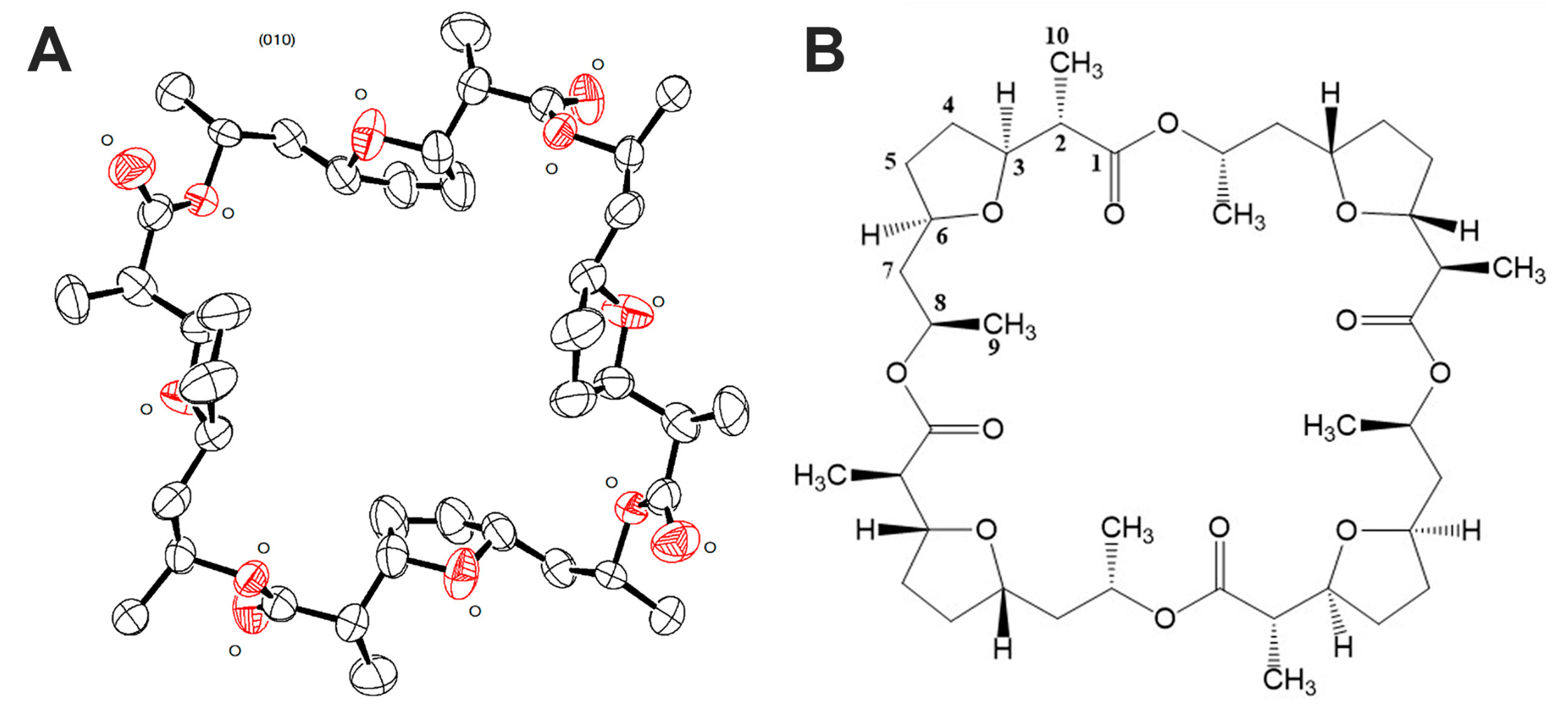 Microorganisms 11 00764 g004