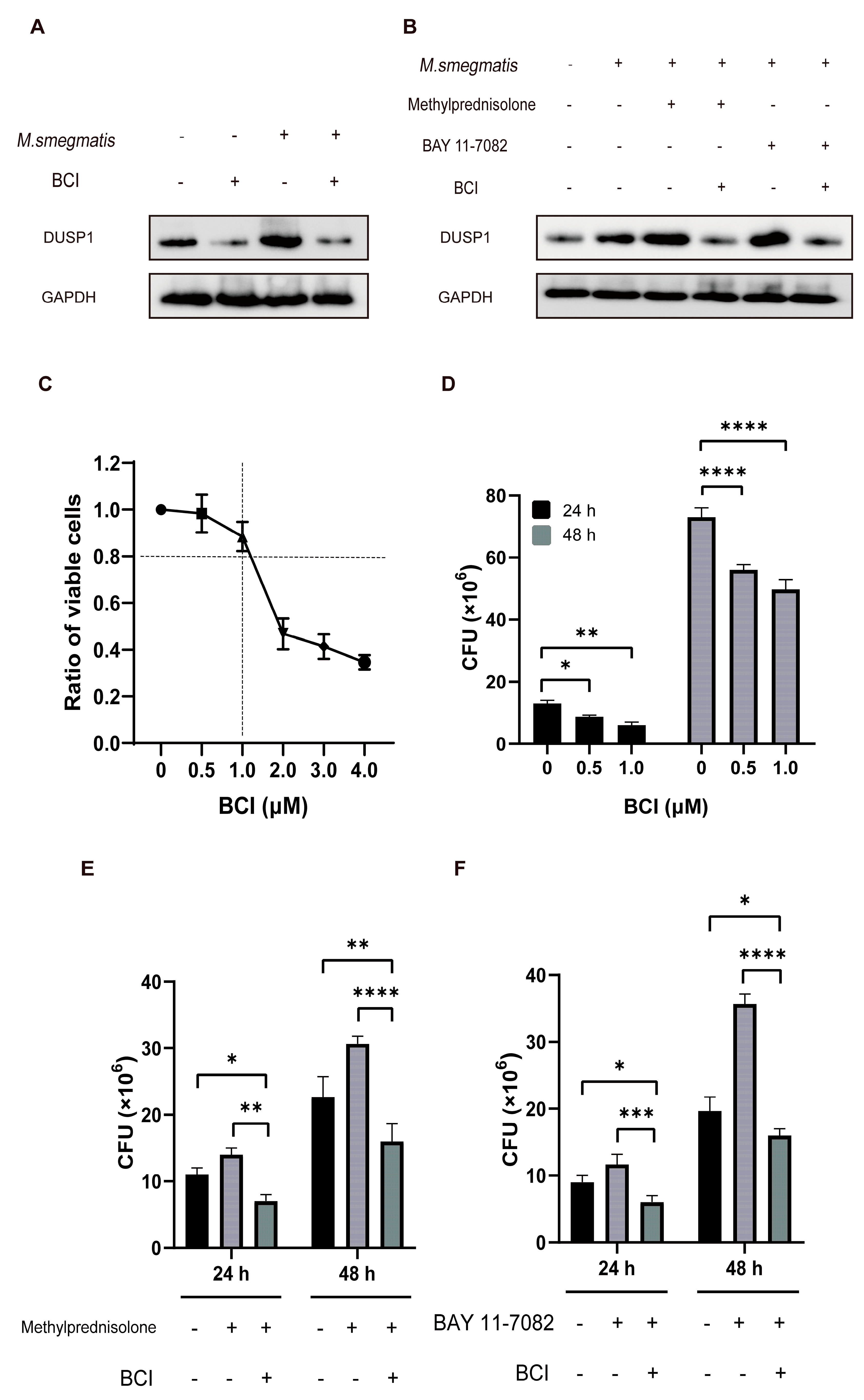 Microorganisms 11 00768 g007