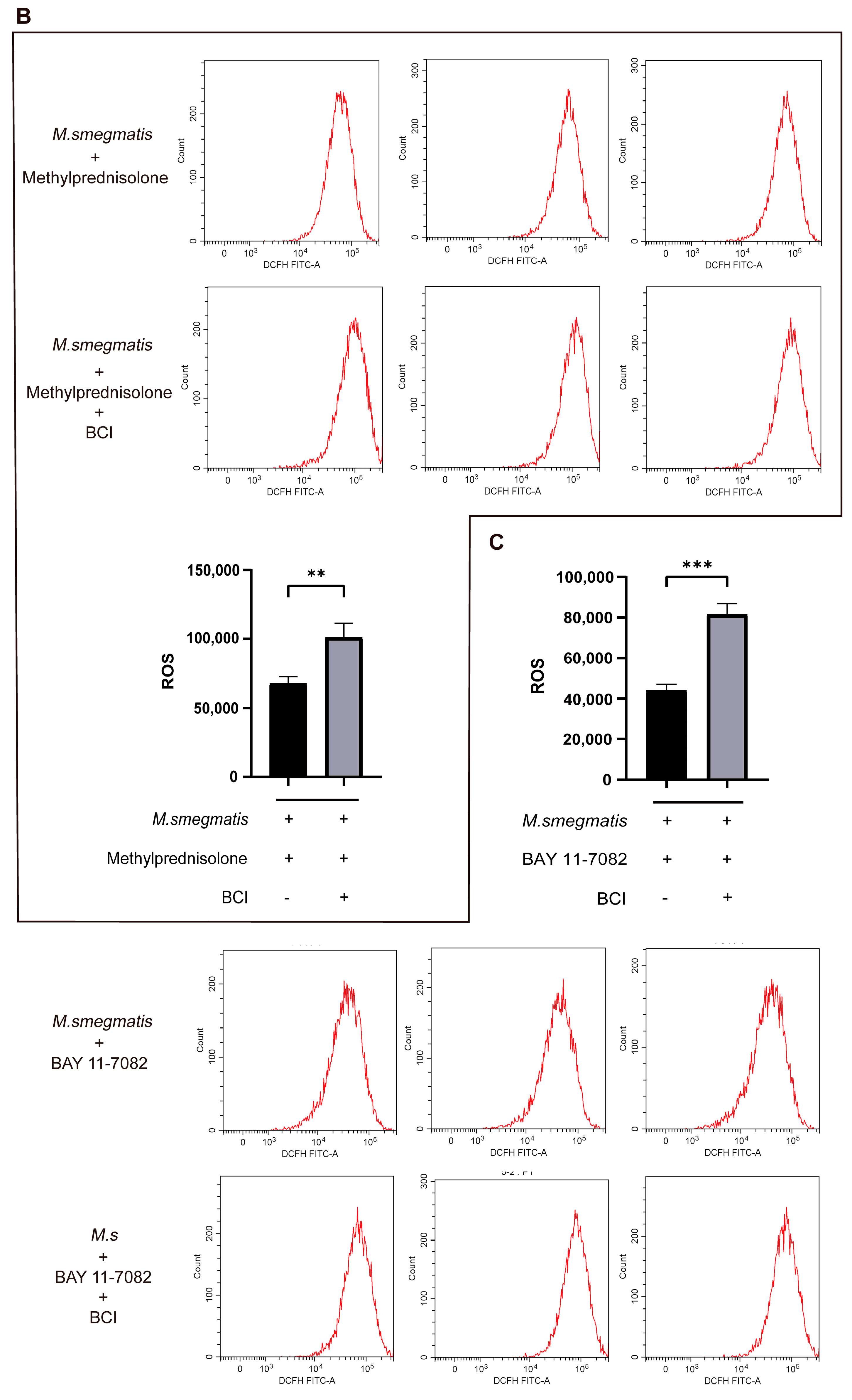 Microorganisms 11 00768 g008b