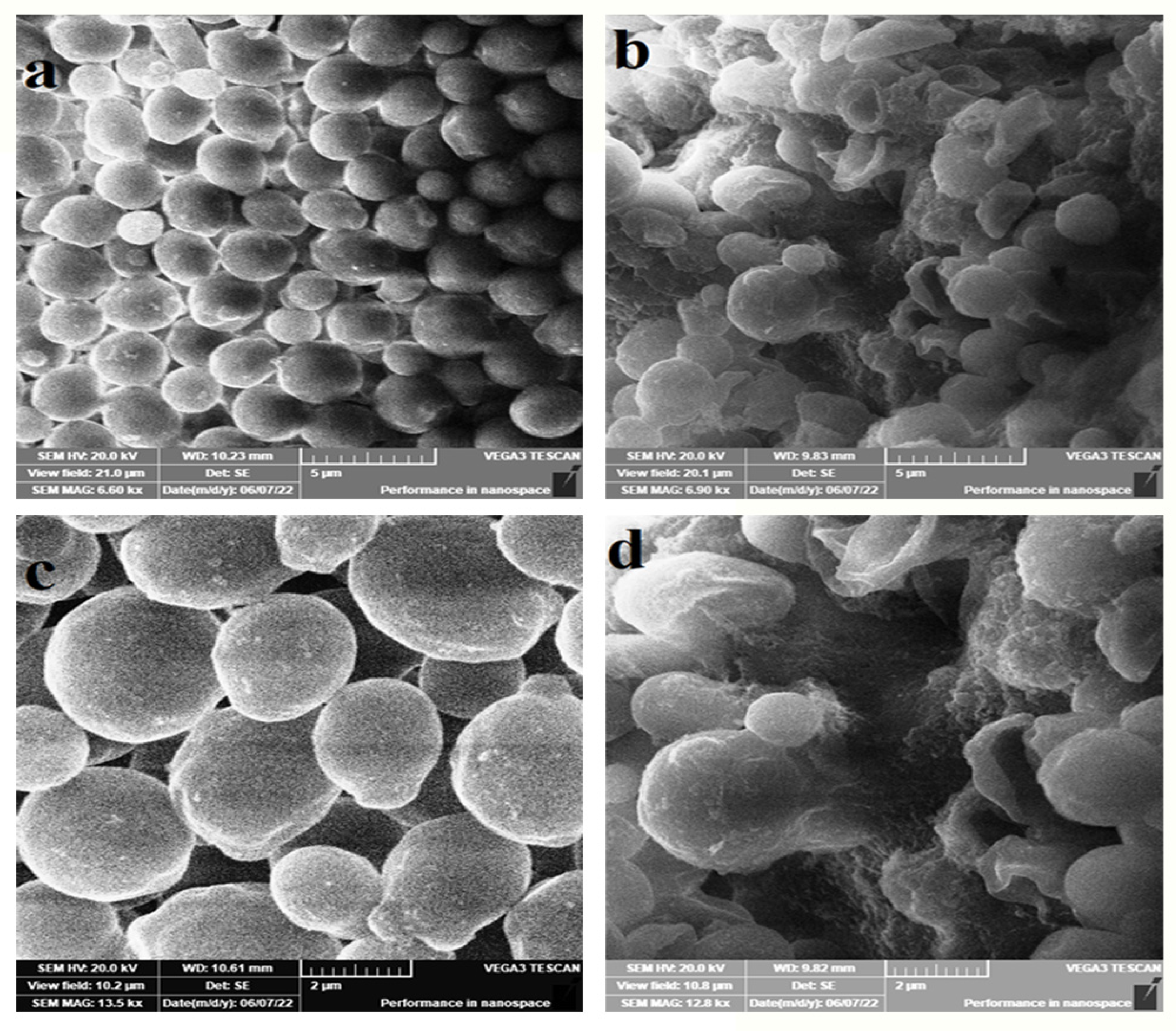 Microorganisms 11 00807 g006 Microorganisms 11 00807 g006