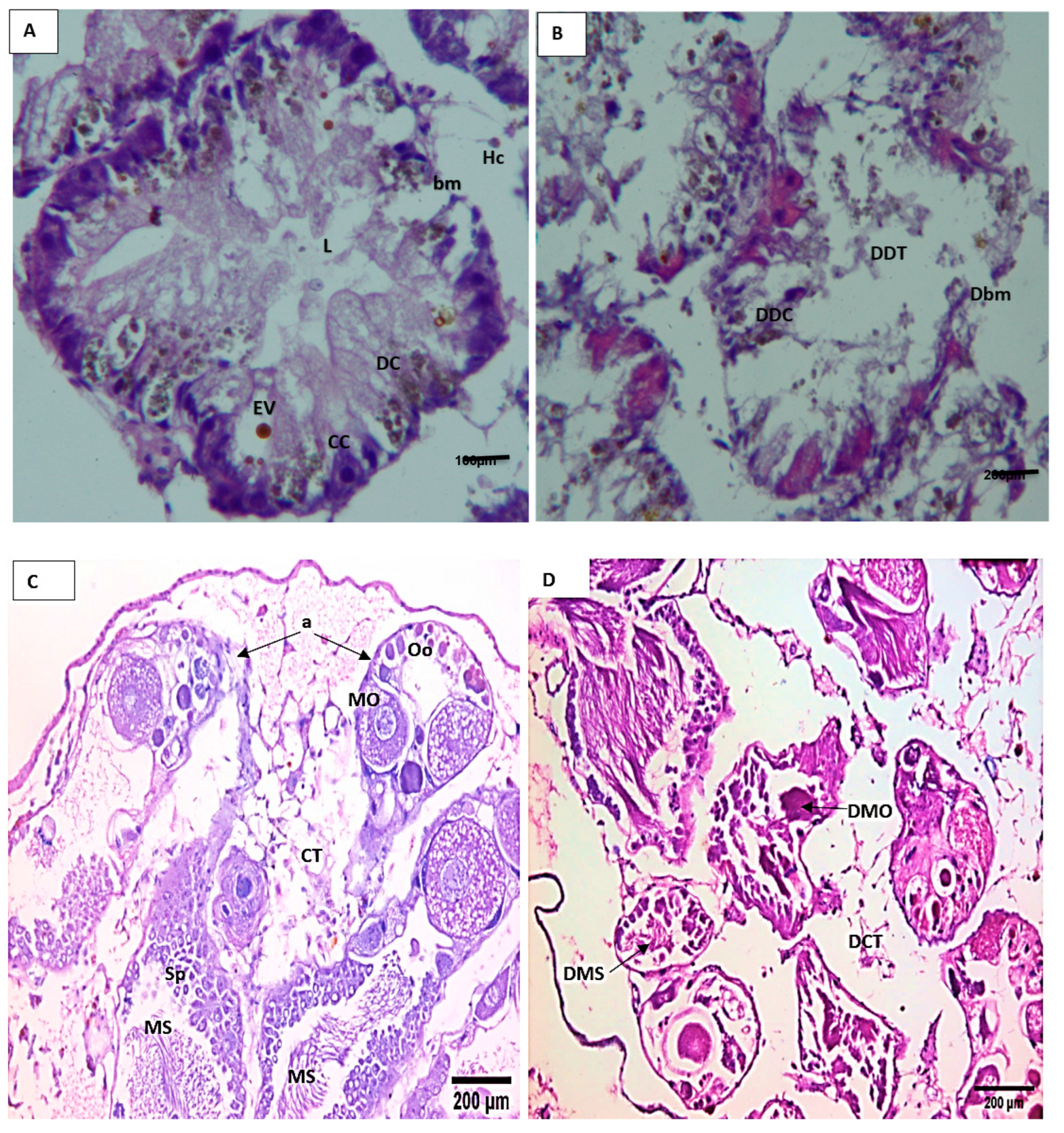 Microorganisms 11 00811 g004 Microorganisms 11 00811 g004