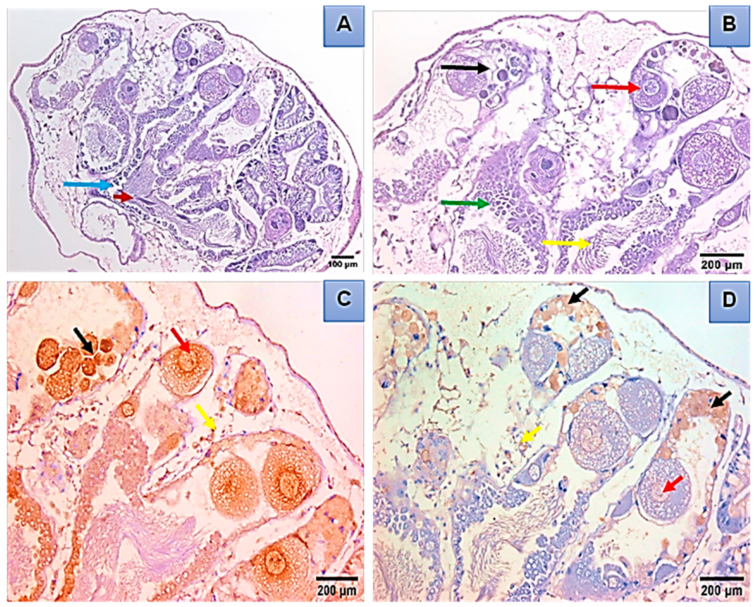 Microorganisms 11 00811 g005 Microorganisms 11 00811 g005