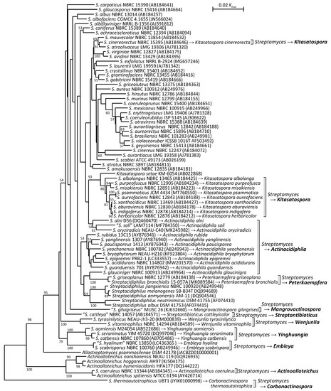 Microorganisms 11 00831 g002