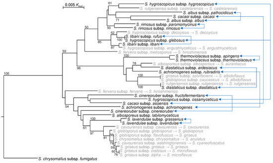 Microorganisms 11 00831 g003