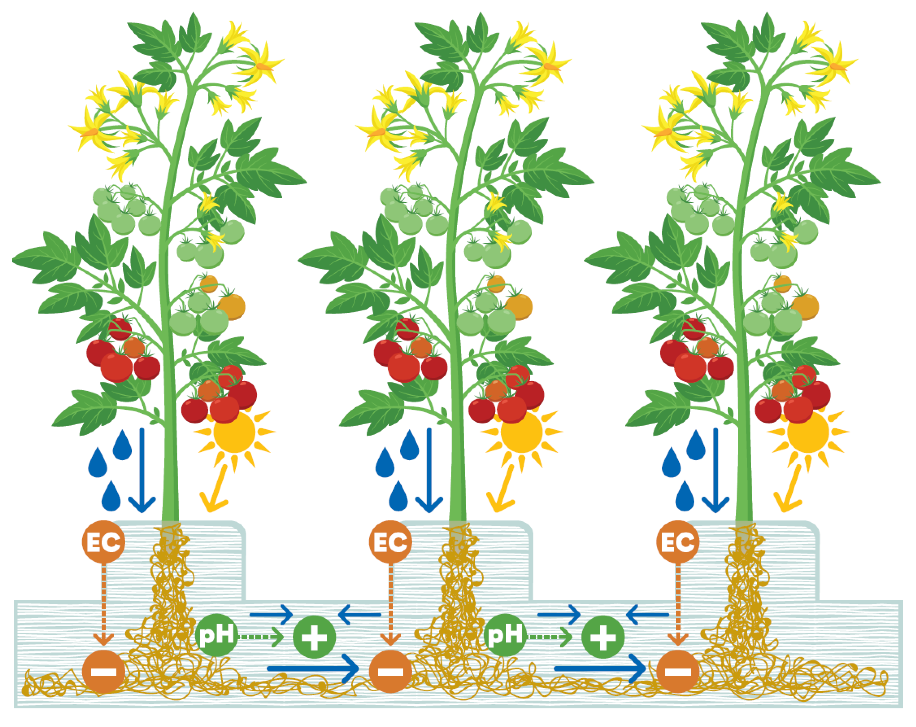 Microorganisms 11 00835 g003