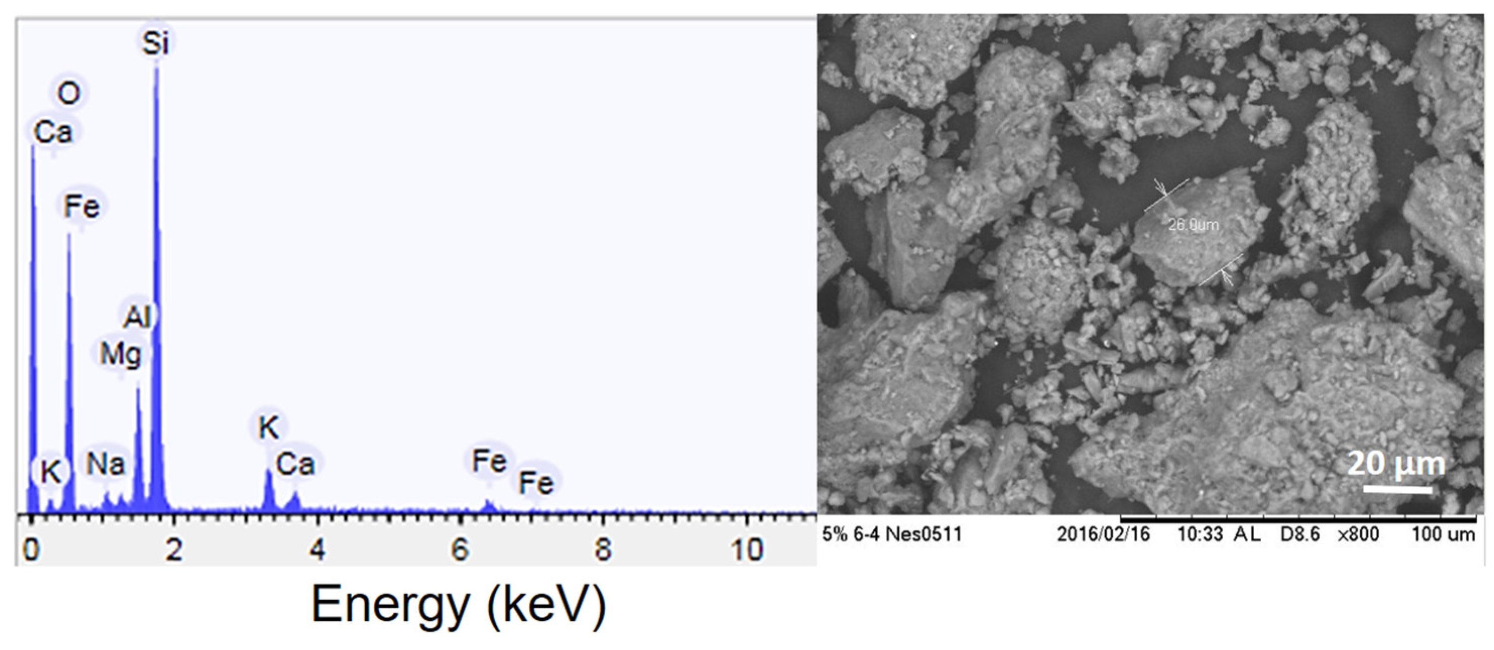 Microorganisms 11 00847 g002